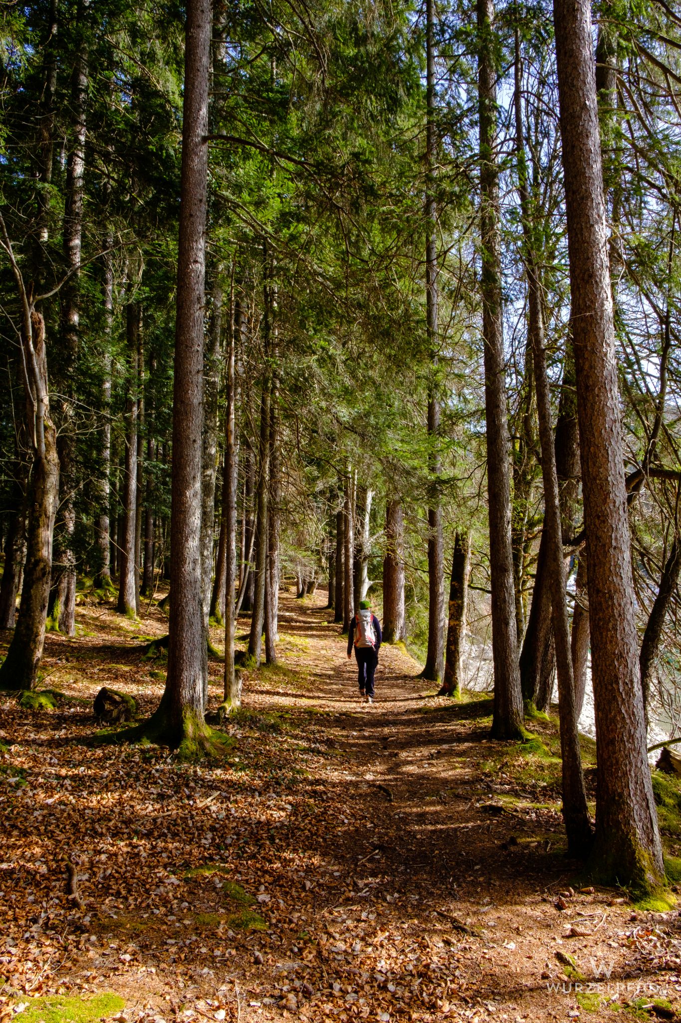 Beschaulicher Wanderweg
