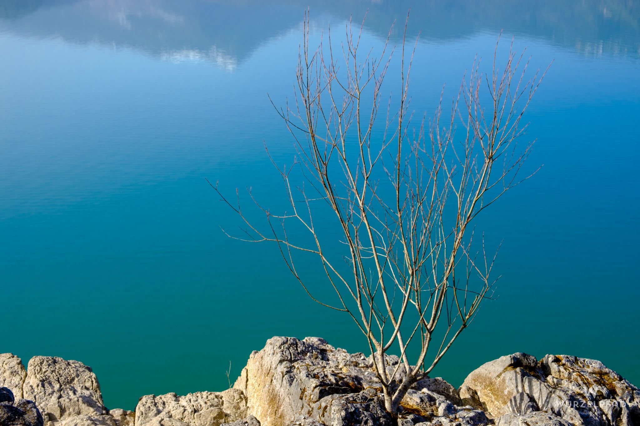 Vorfrühling am Walchensee