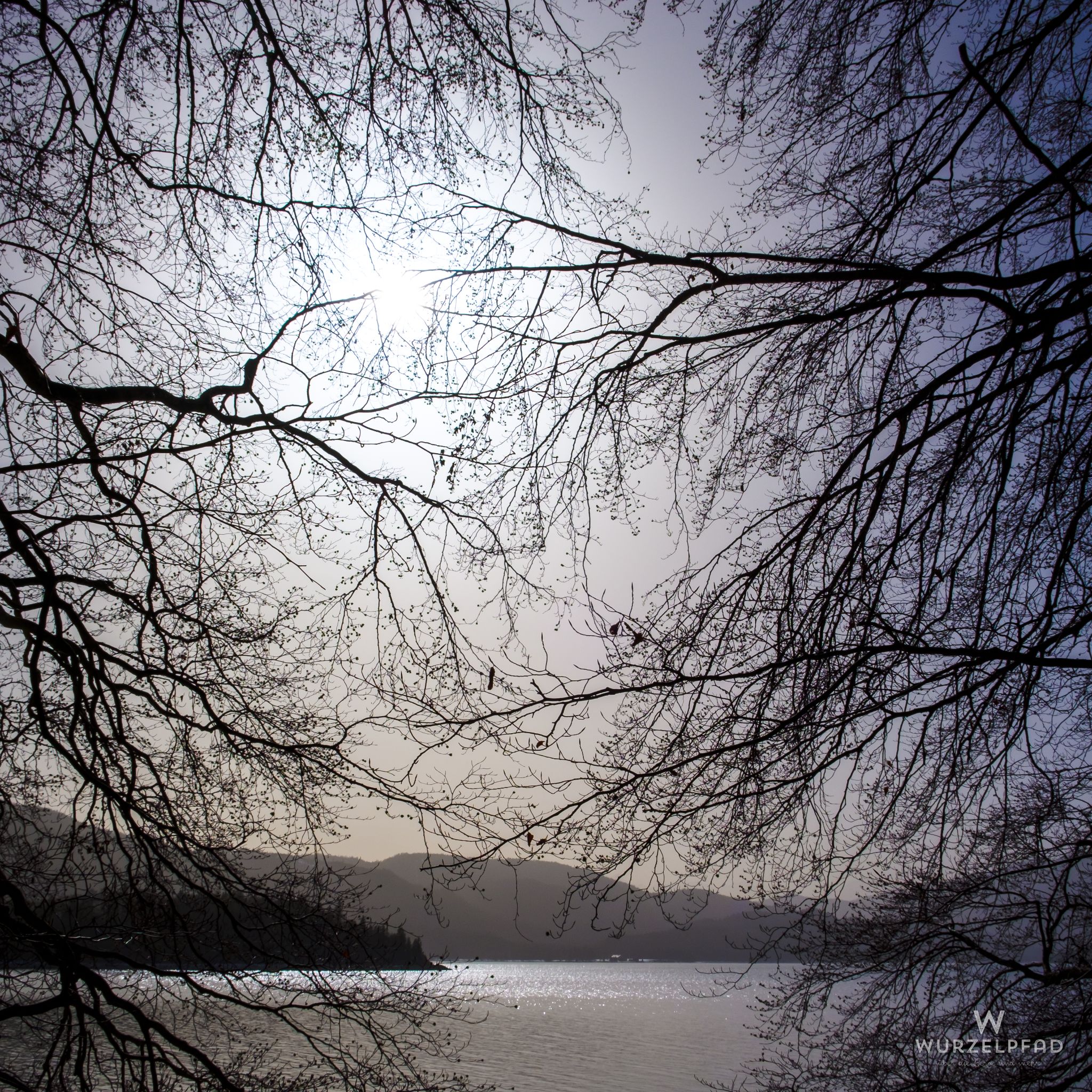 Blick in den Saharastaub