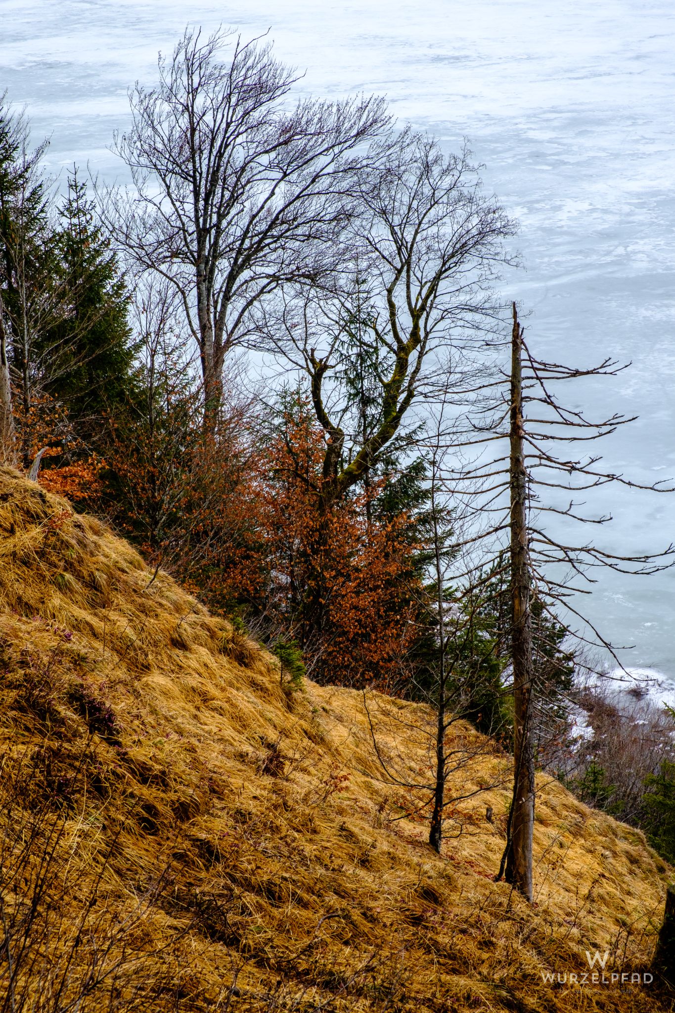 Blick auf's Eis des Sylvenstein