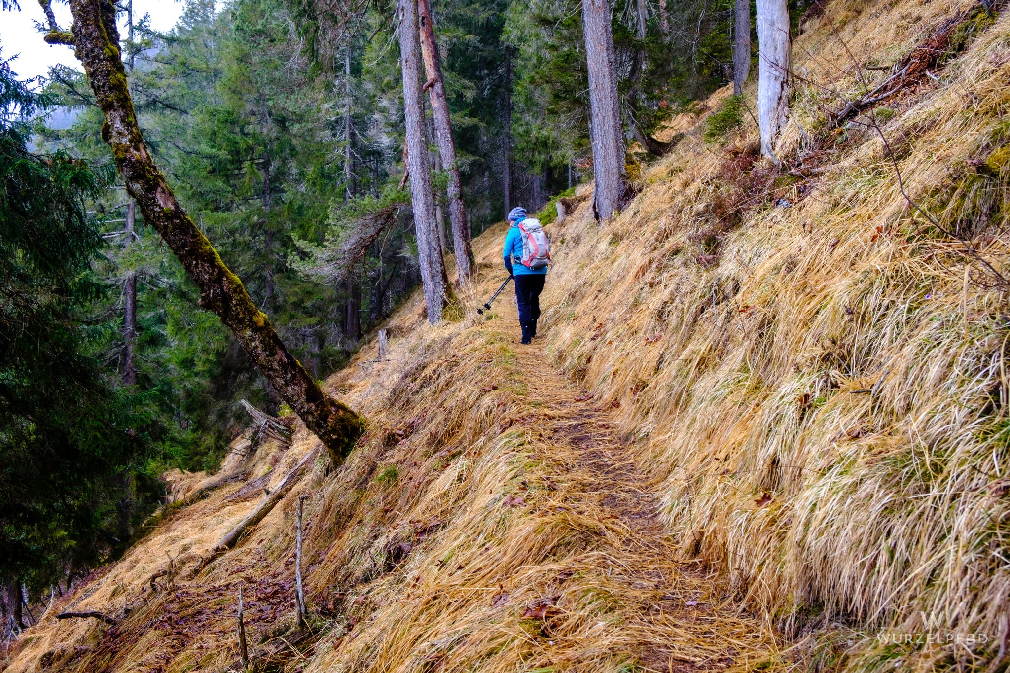 Südseitlich ohne Schnee