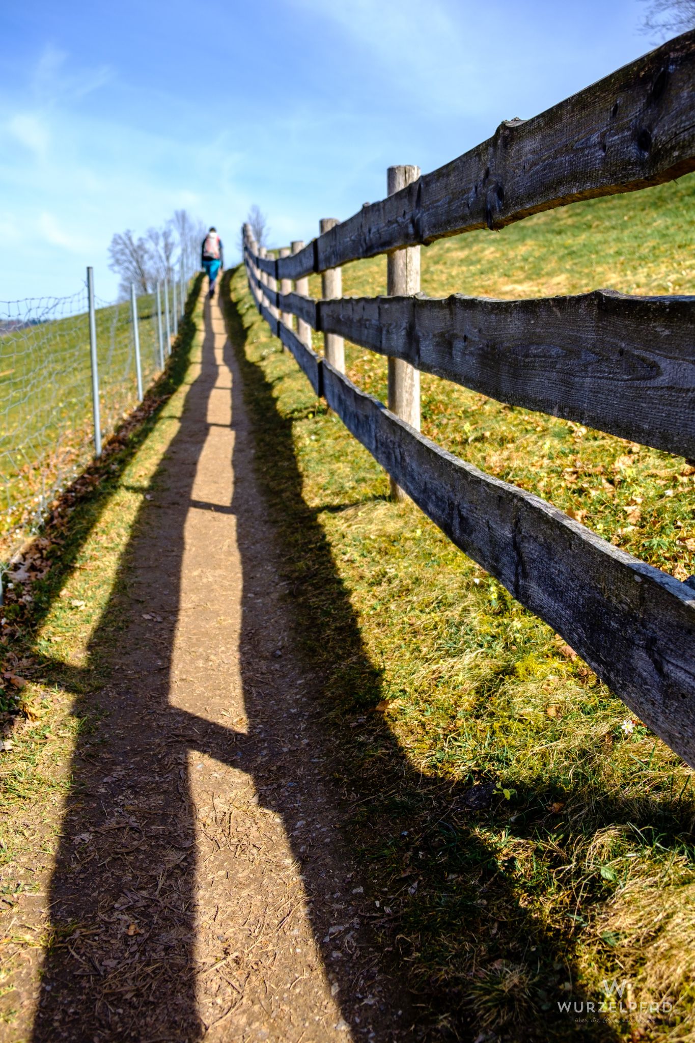 Weg durch die Wiesen