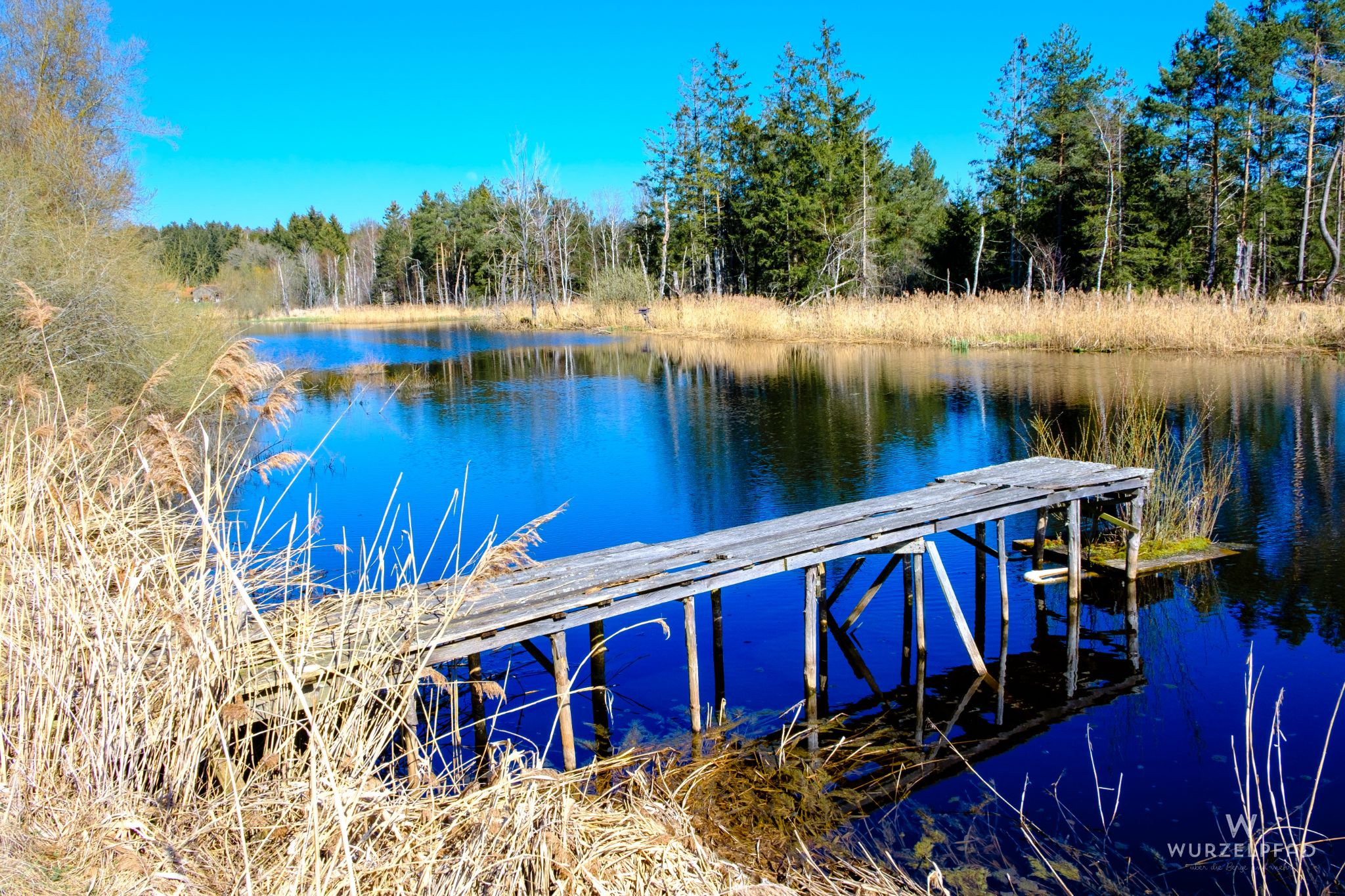 Moorweiher bei Humbach