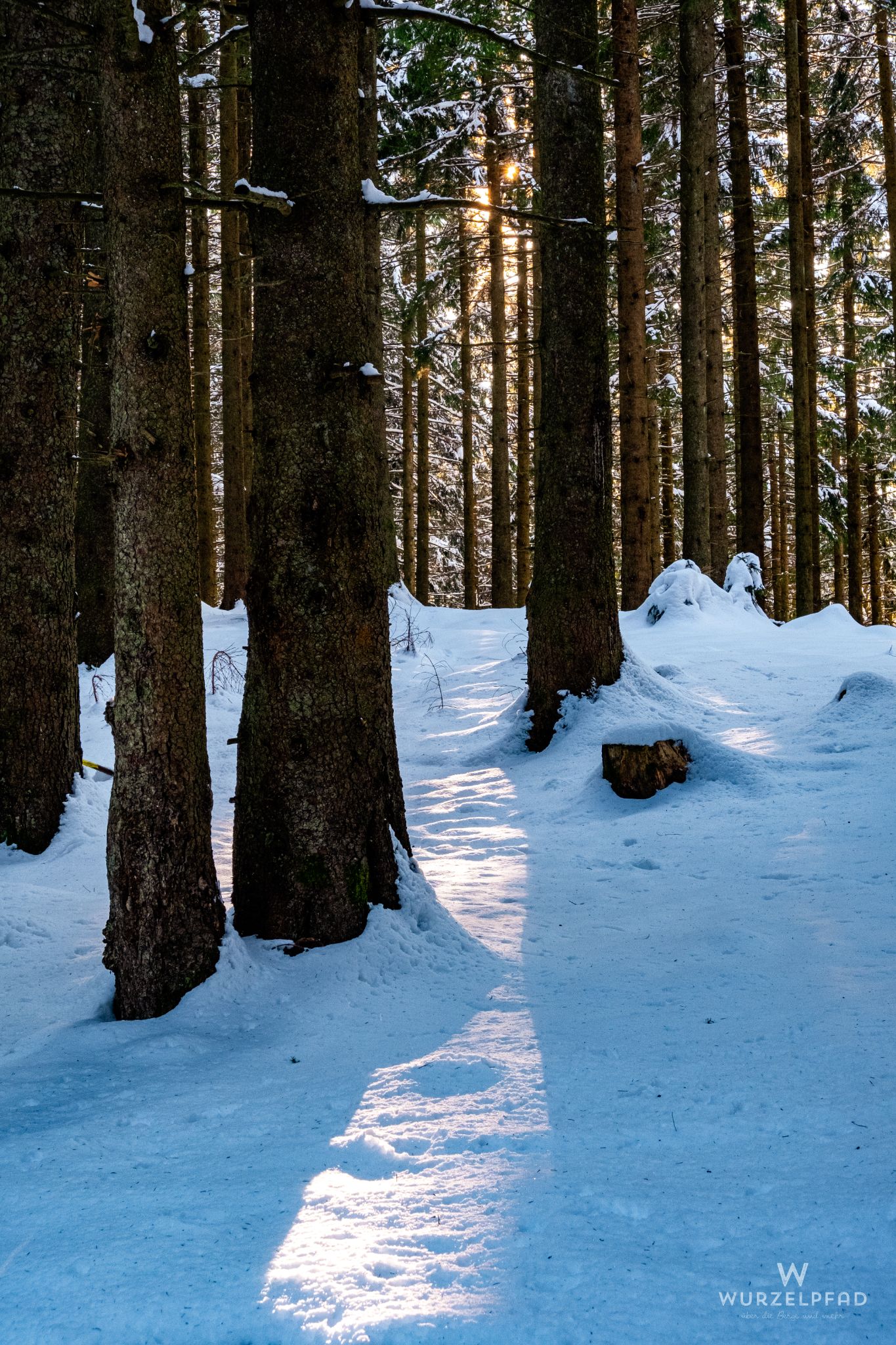 Der Frühling lässt sich ahnen