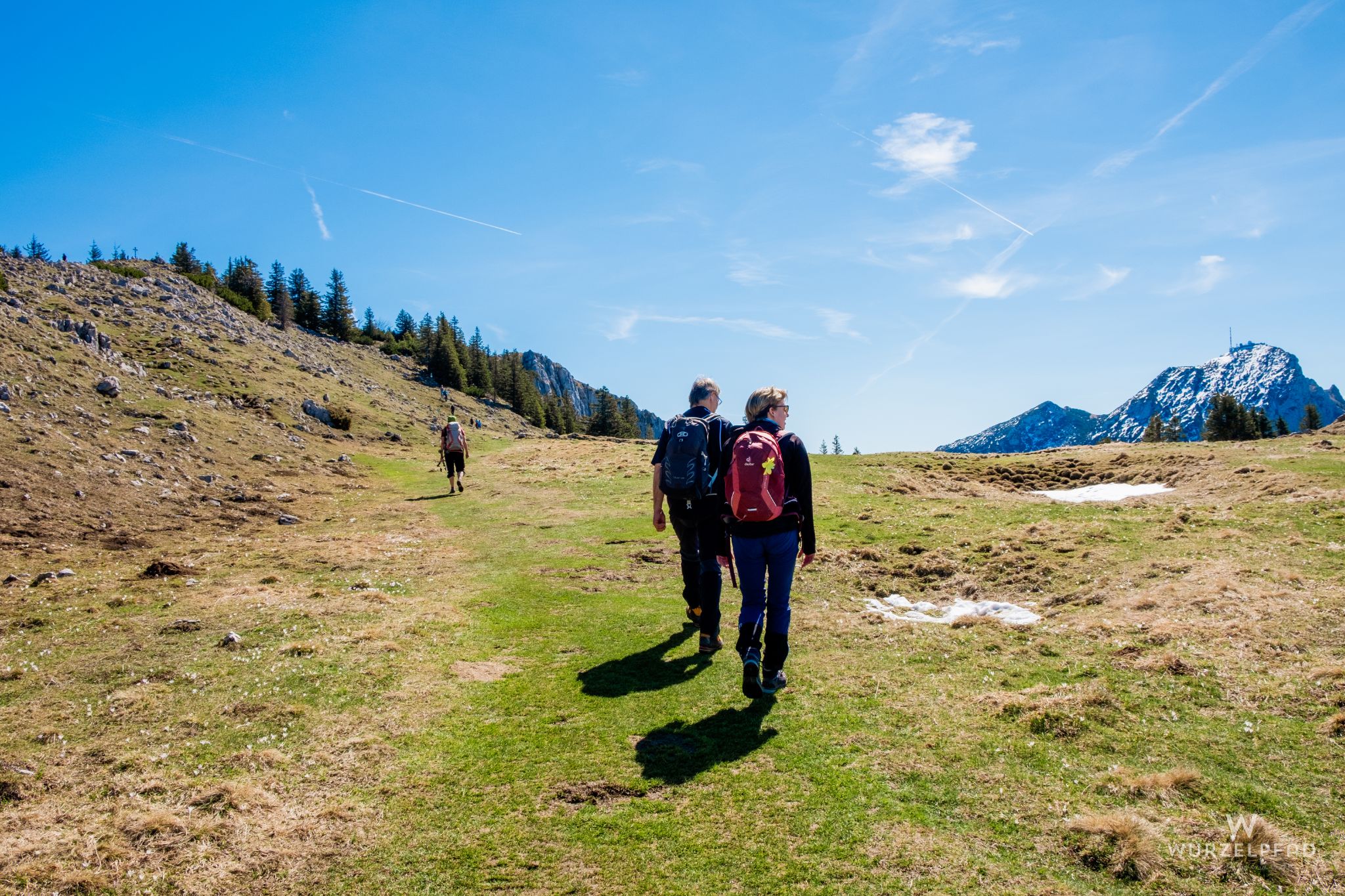Senke mit Blick zum Wendelstein