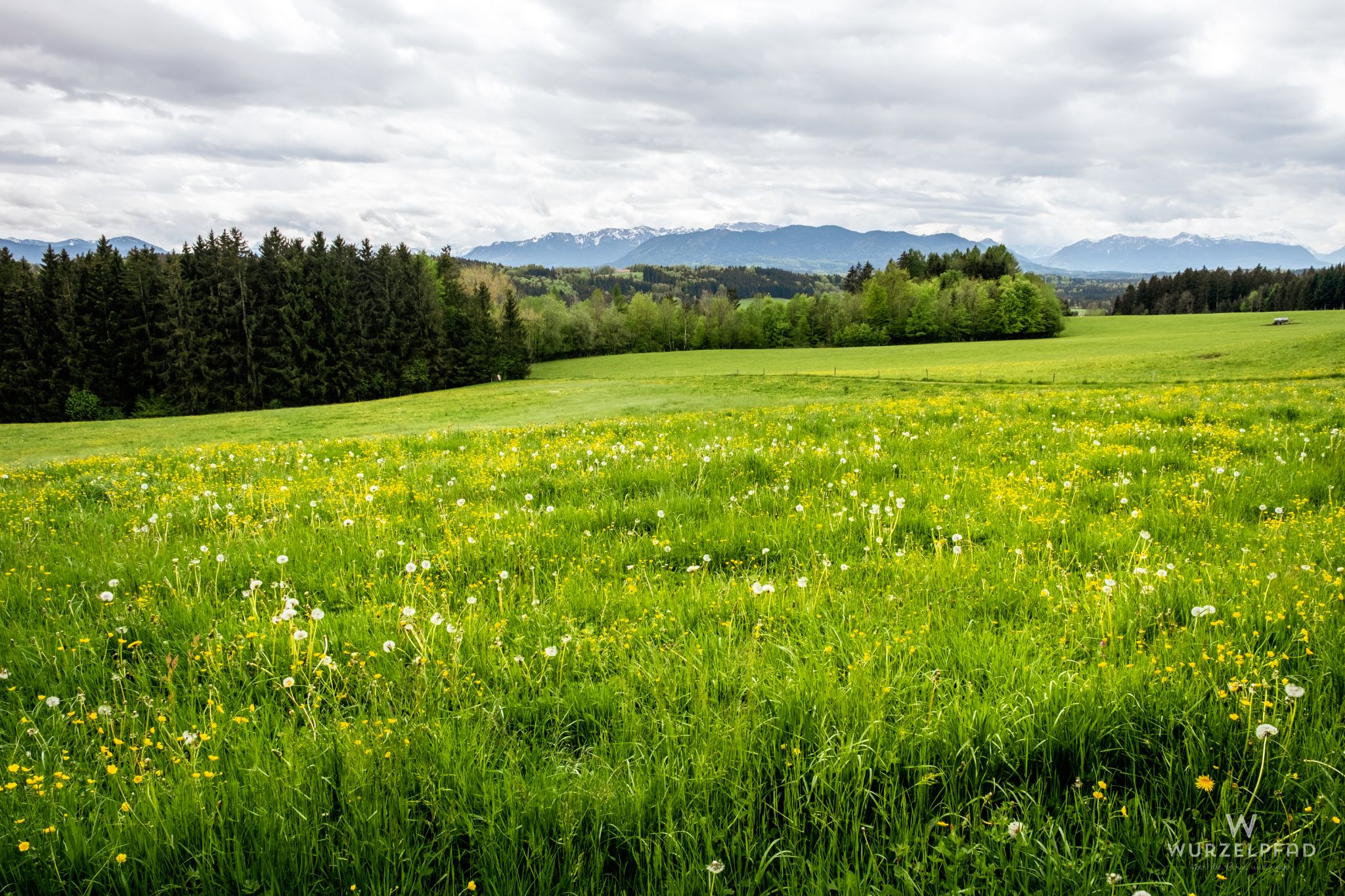 Blick zur Benediktenwandgruppe
