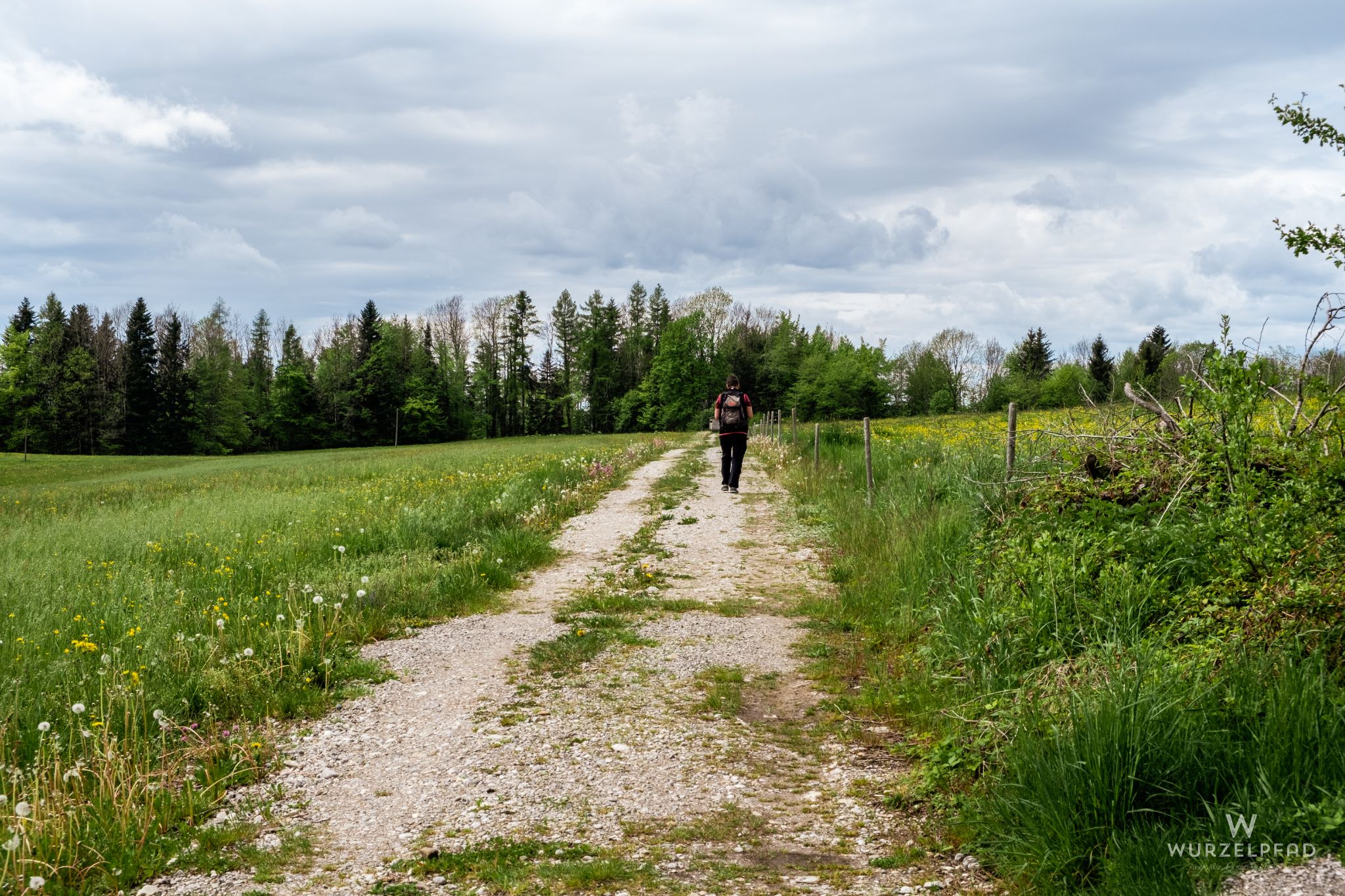Einsamer Wanderweg bei Punding