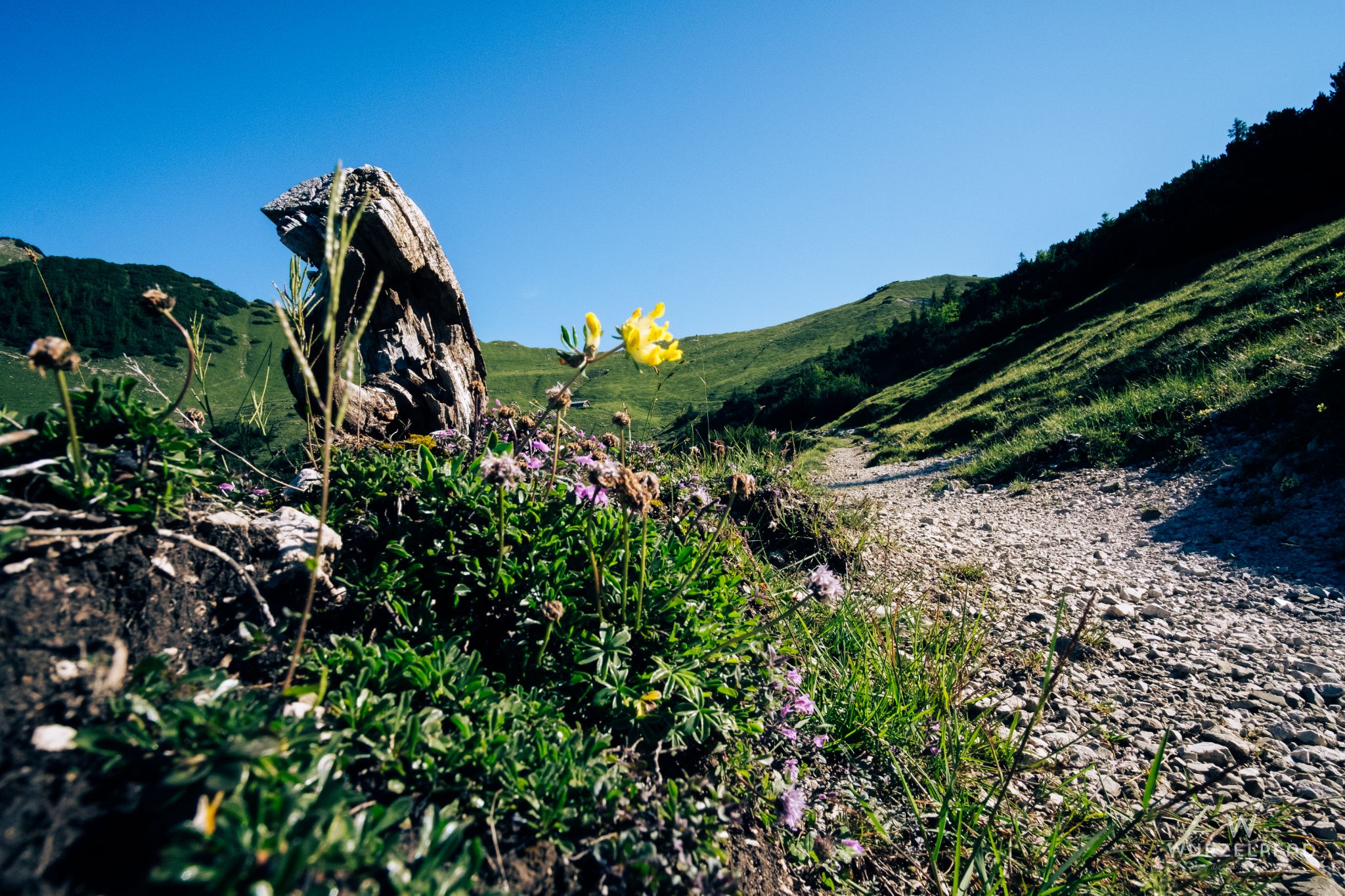 Vorm Hasental-Hochleger