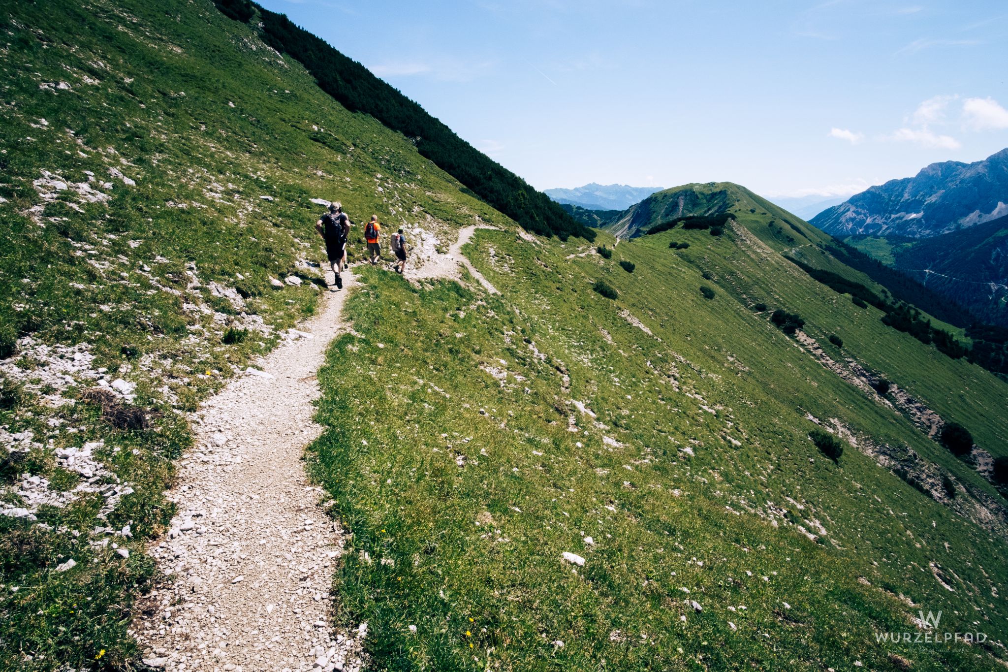 Südhänge unterhalb des Gipfels