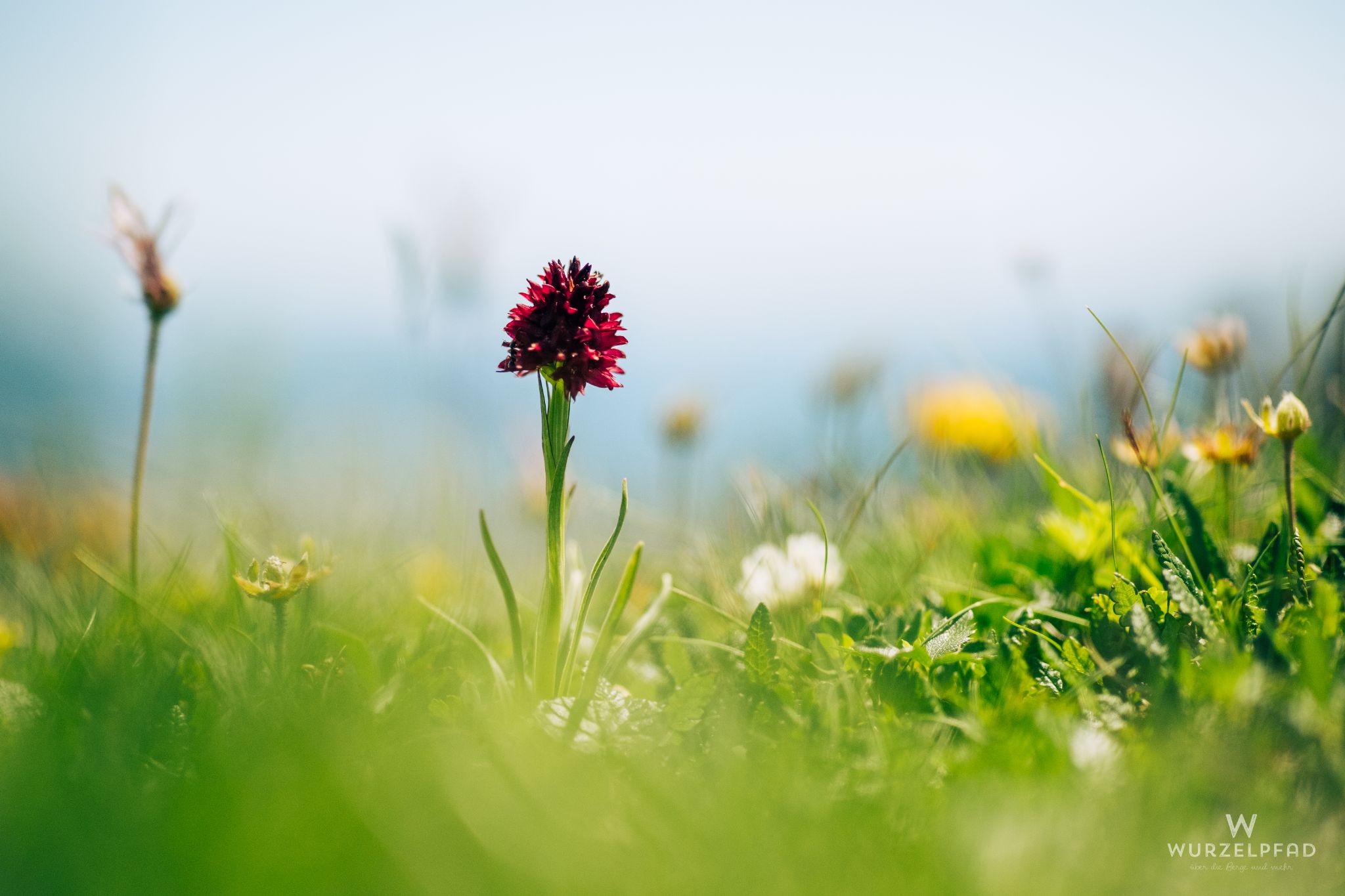 Wanderung auf den Kompar