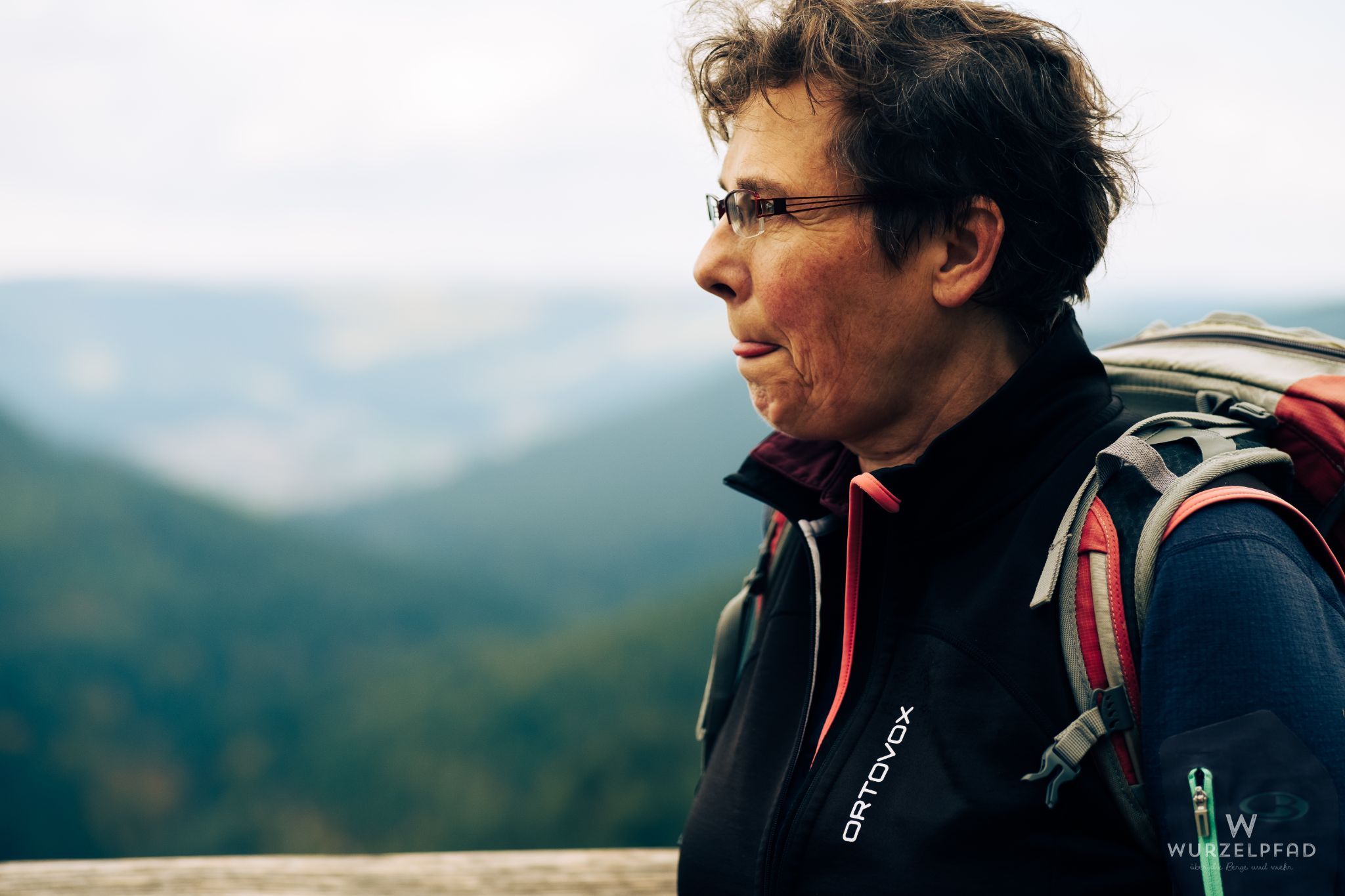 Blick zur Hornisgrinde