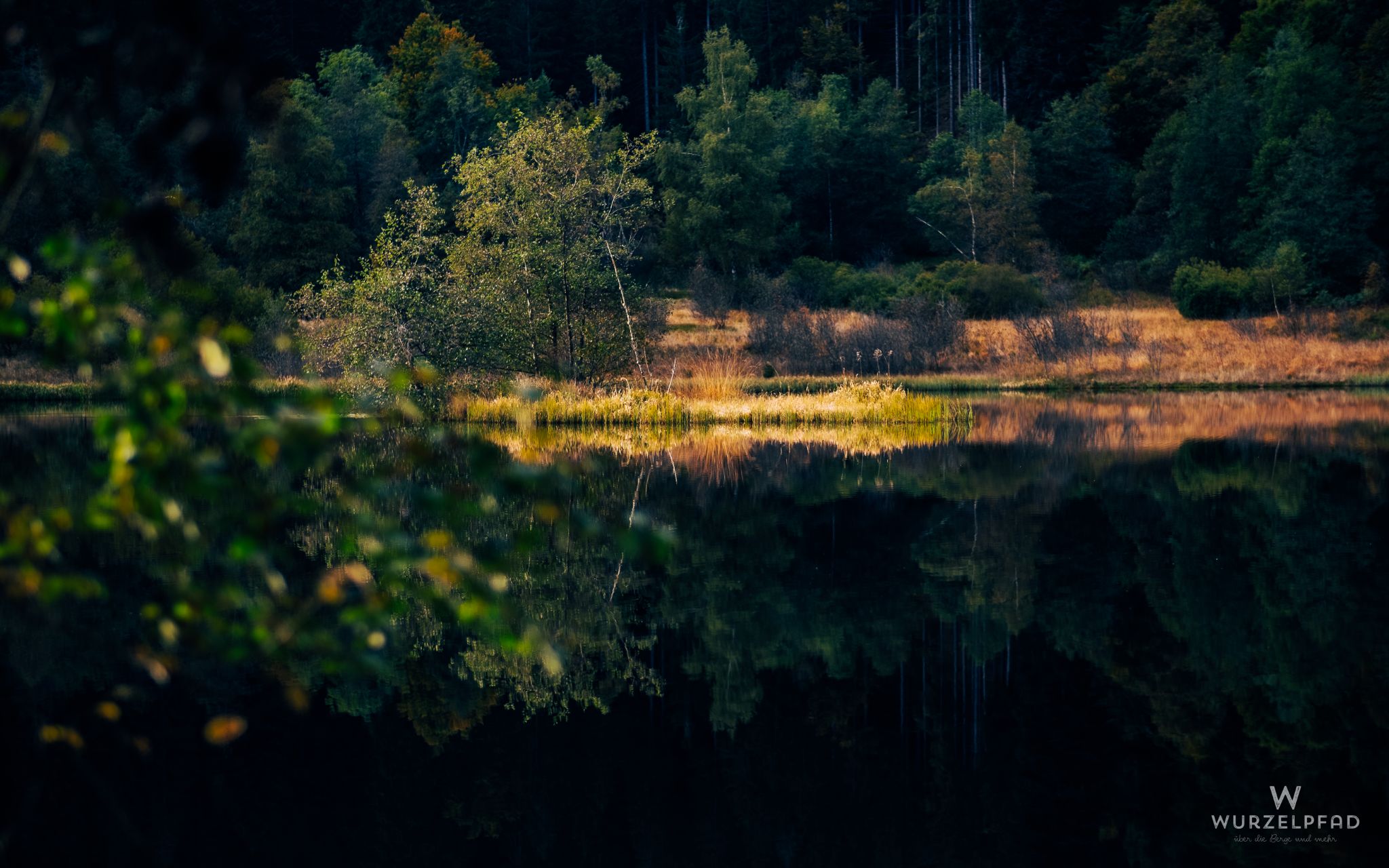 Insel im Sankenbachsee