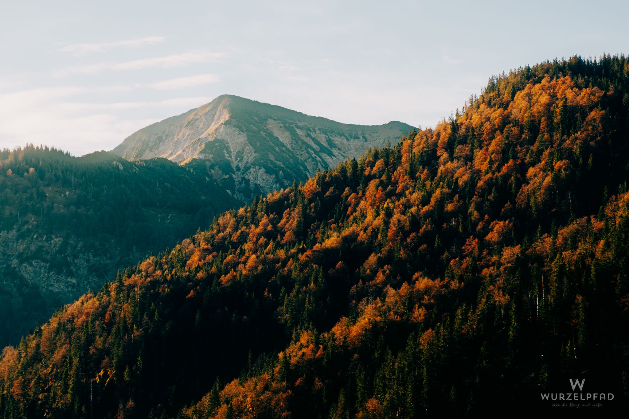 Herbstwald vor der Halserspitze
