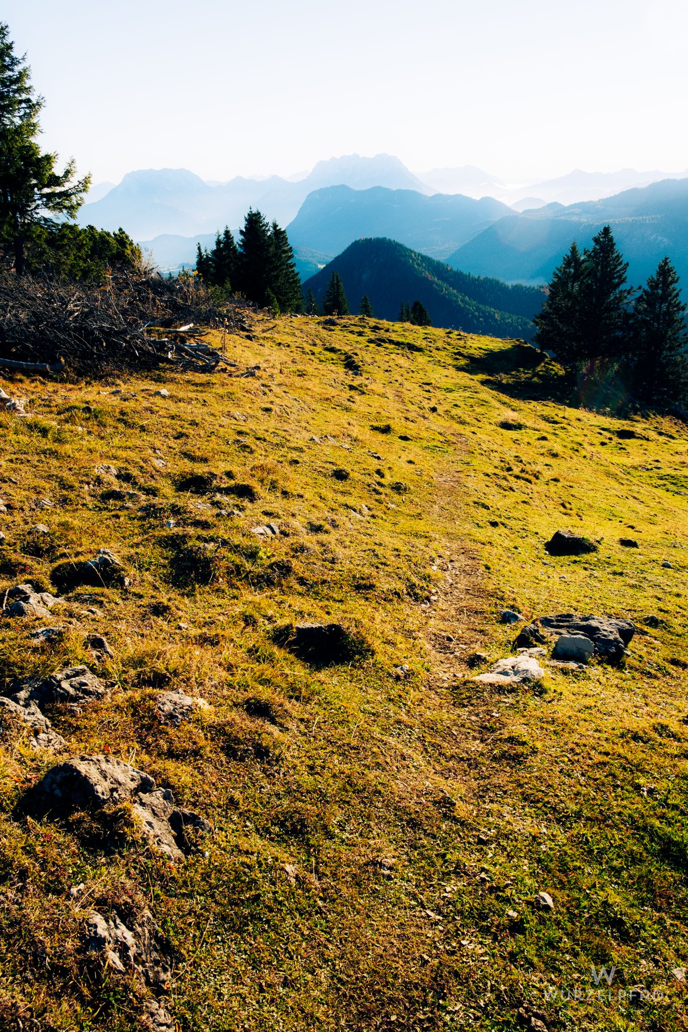 Blick vom Veitsberg zum Kaiser
