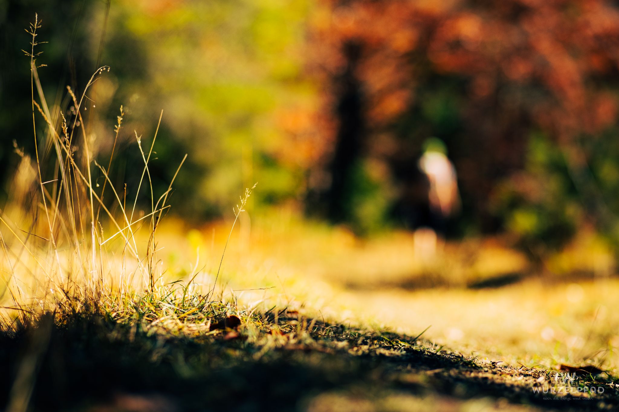 Bergwanderung auf den Veitsberg
