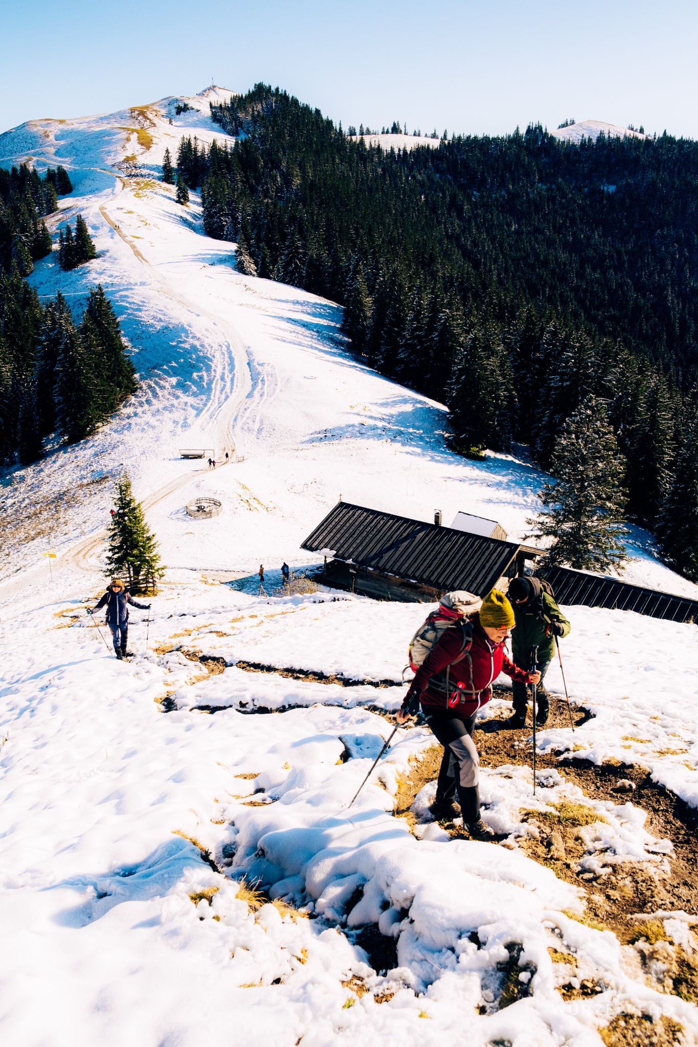Anstieg zum Mittleren Hörnle