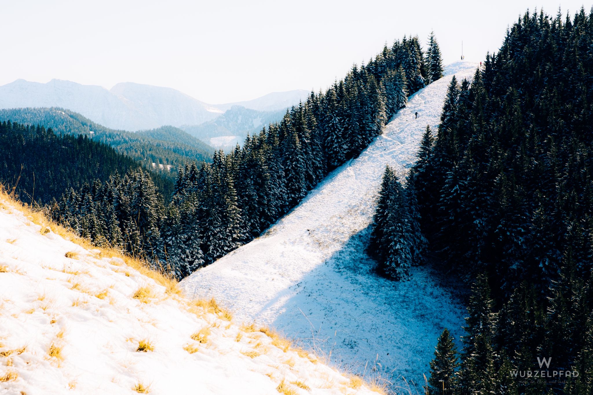 Blick zum Mittleren Hörnle