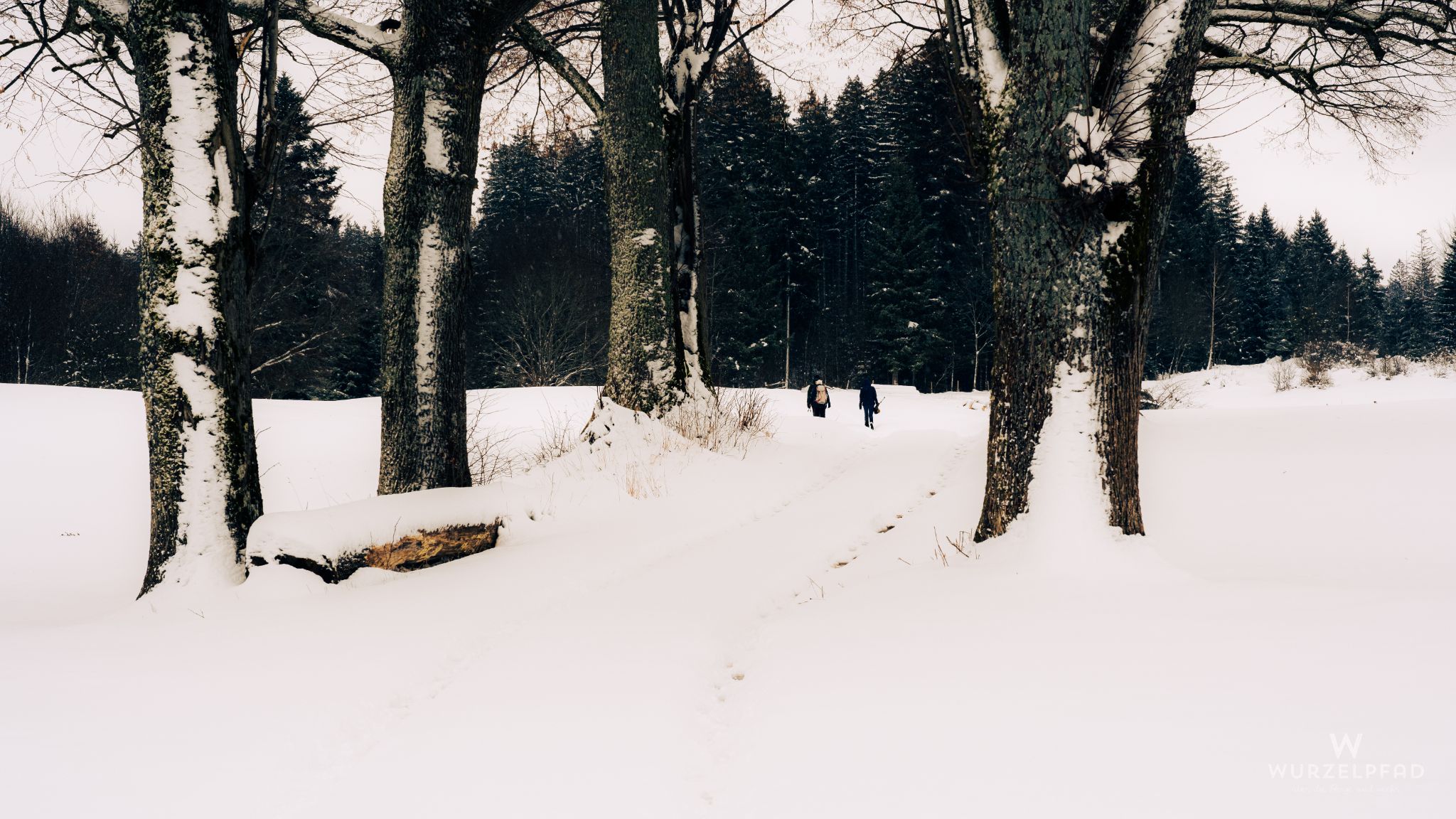 Unterwegs südlich vom Kirchsee