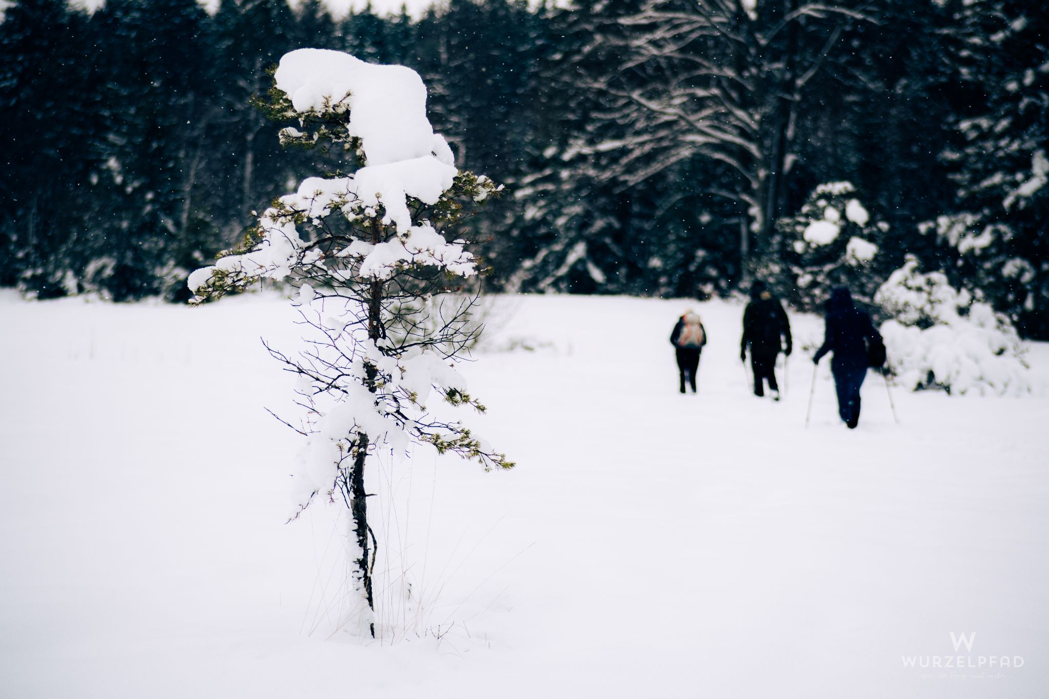 Wandergrüpplein unterwegs im Schnee