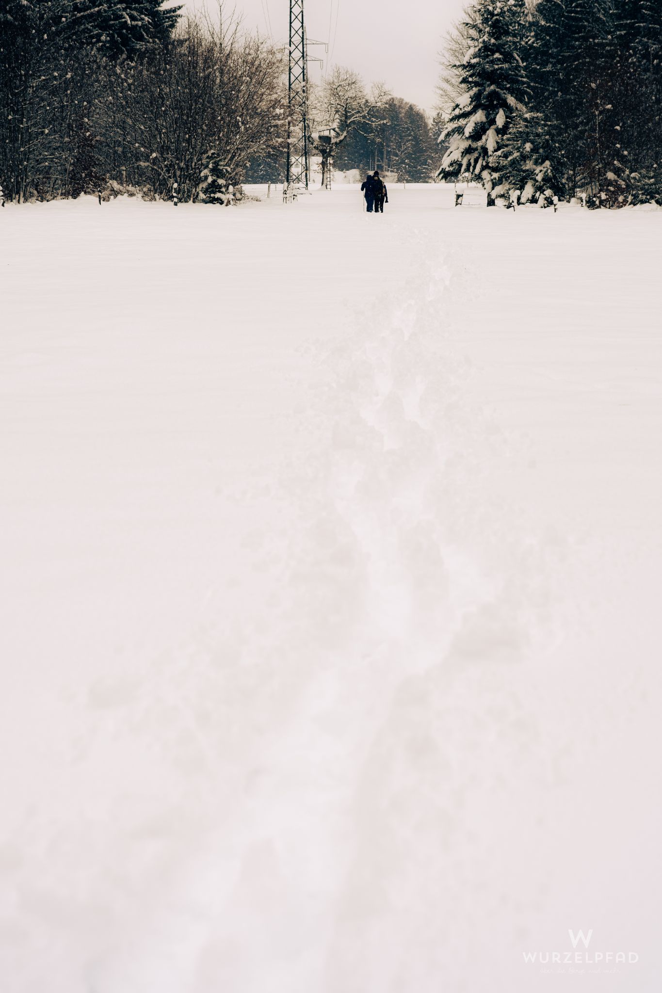 Immer entlang der Strommasten
