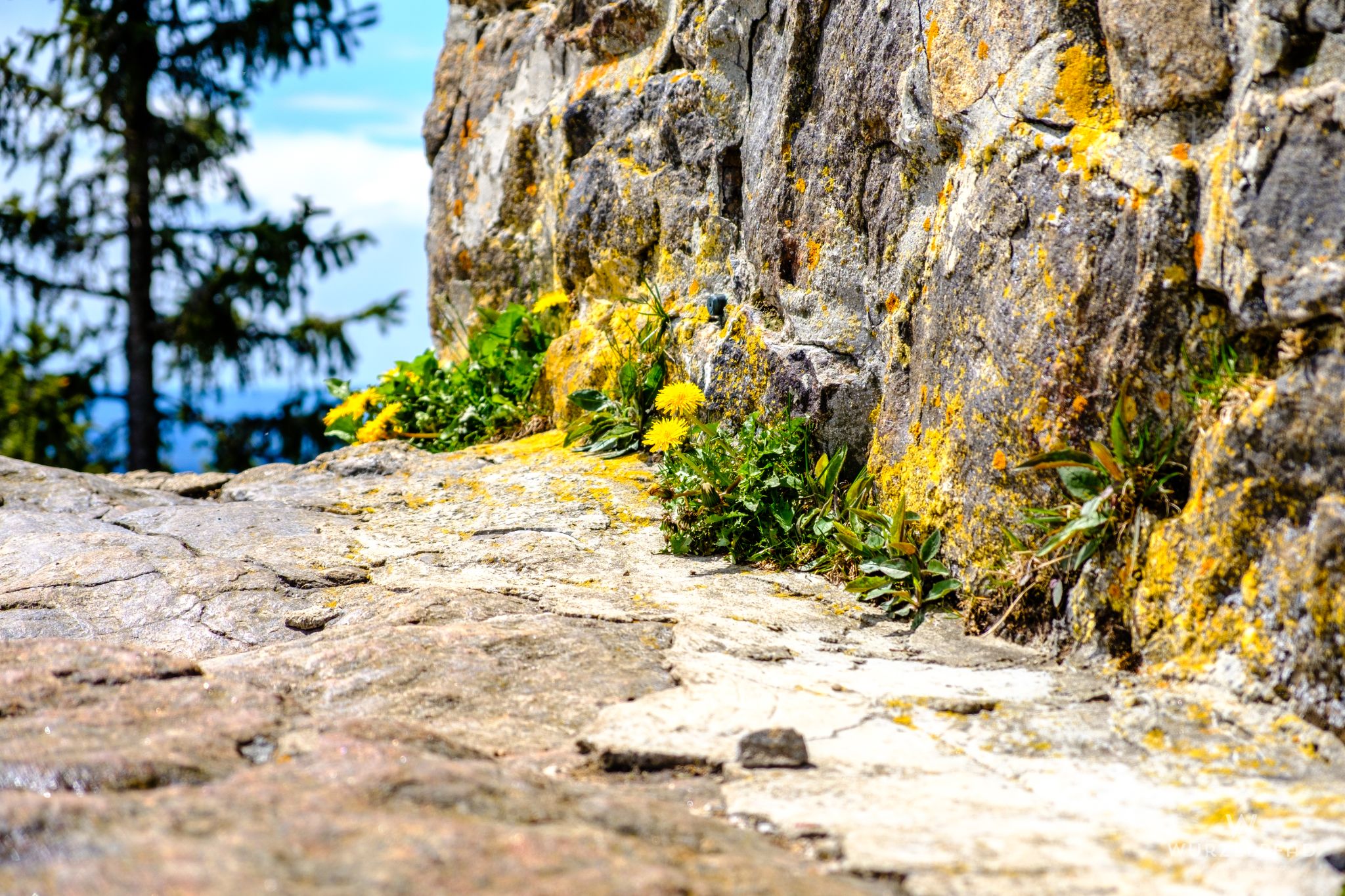 Gemütliches Plätzchen