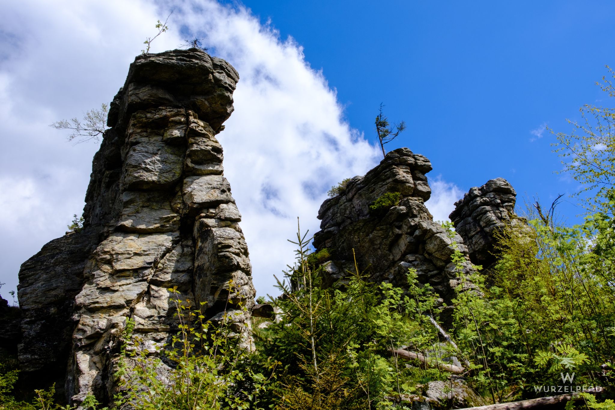Gipfelfelsen des Ödriegel