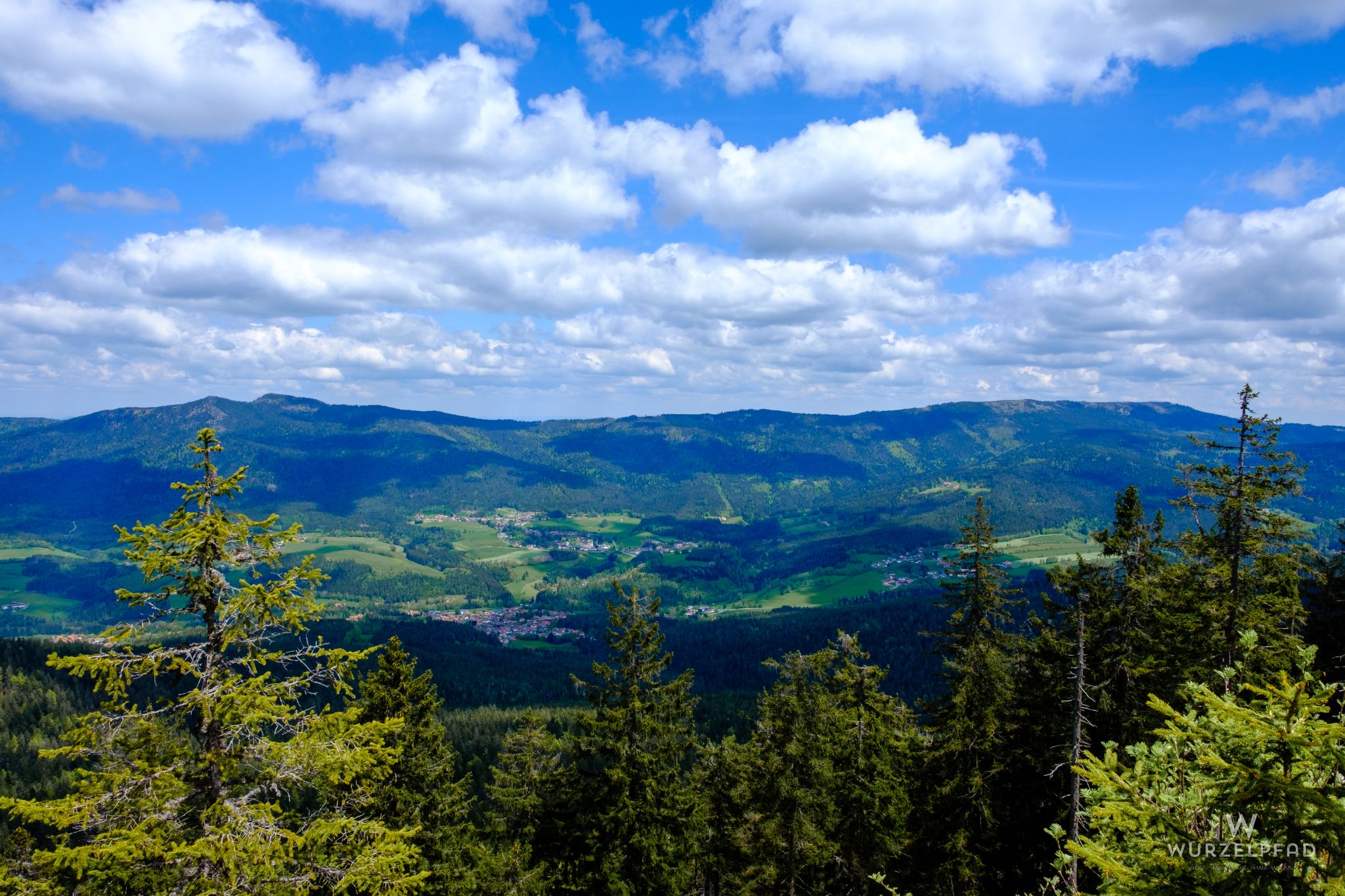 Blick zum Künischen Grenzkamm