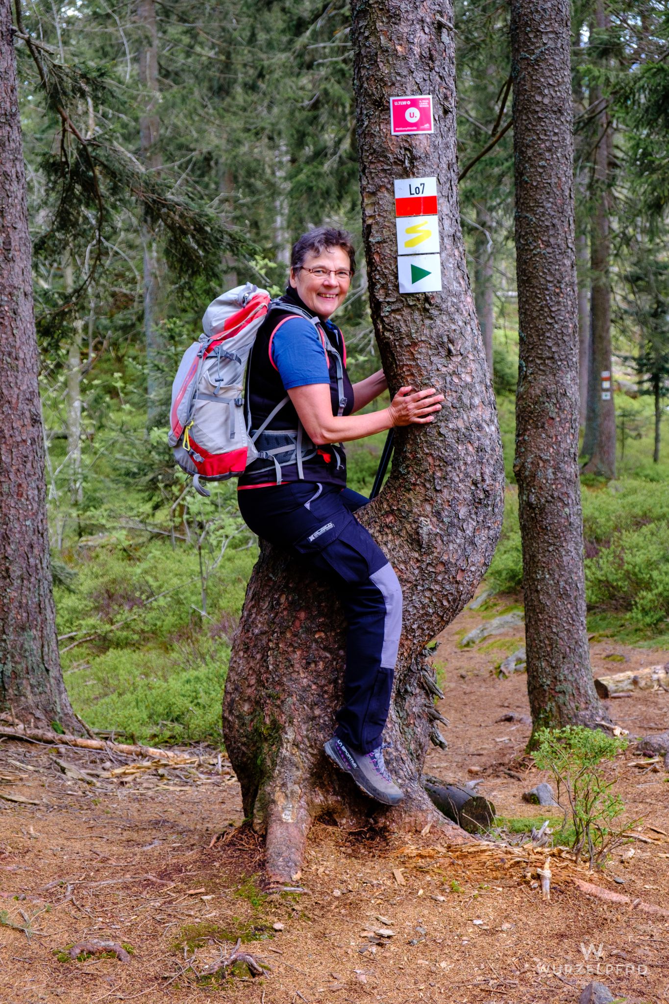 Der Gaul bewegt sich nicht