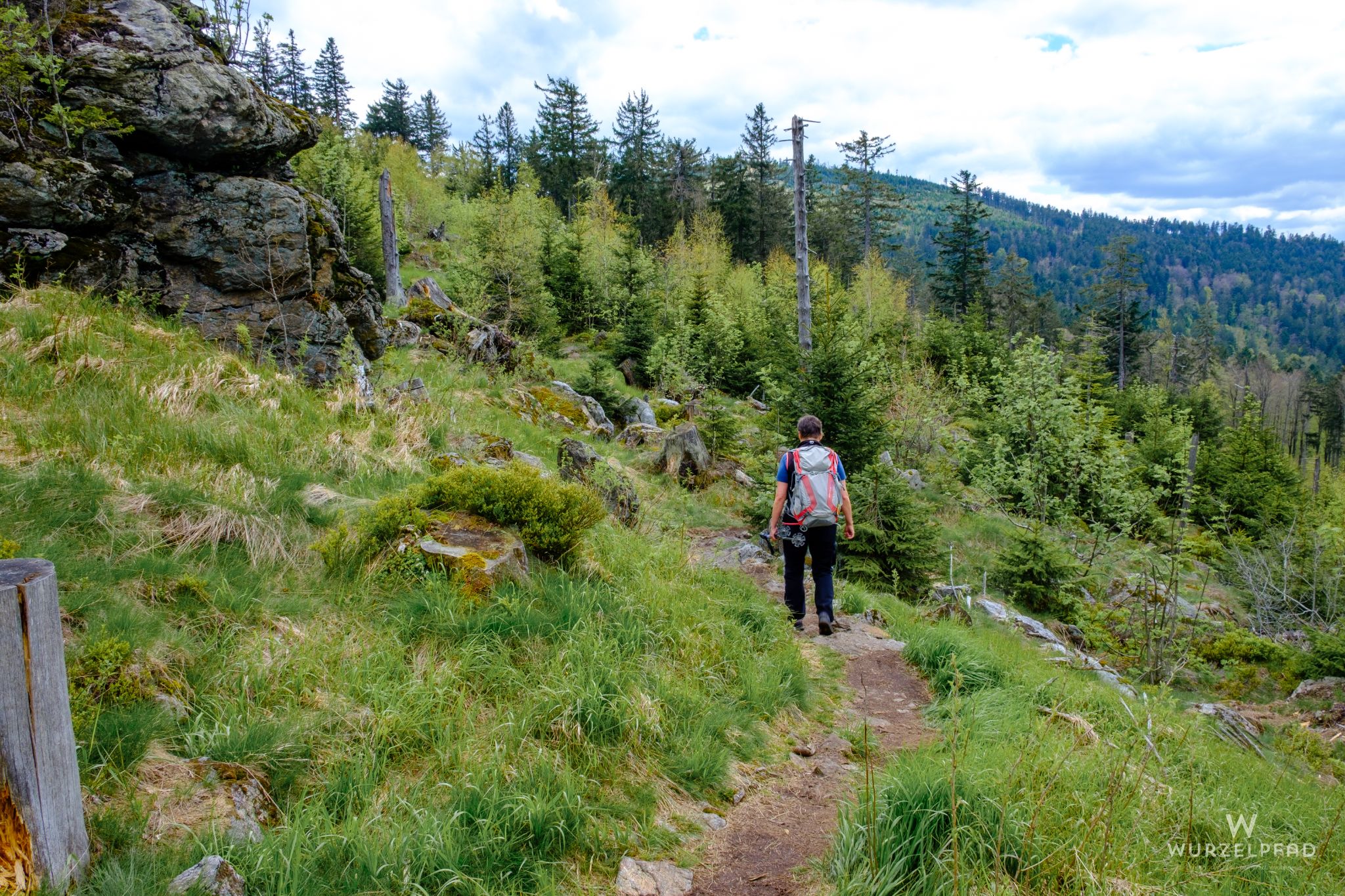 In den Reischhängen