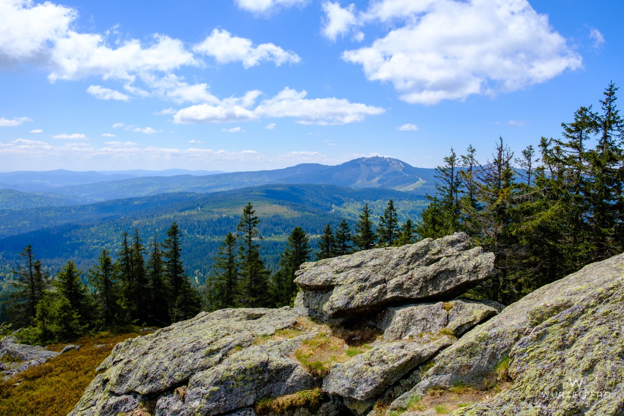 Blick zum Hohen Arber