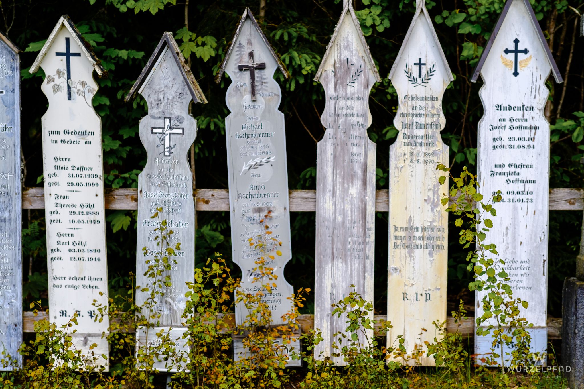 Wanderwochenende im Bayerischen Wald