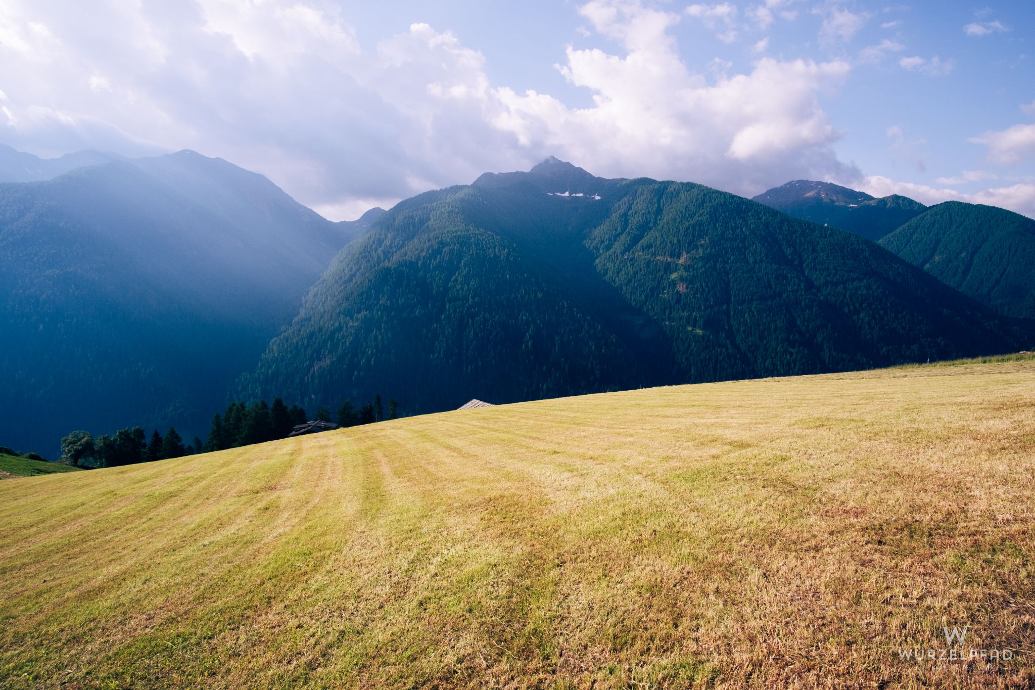 Wiese - bereits abgemäht
