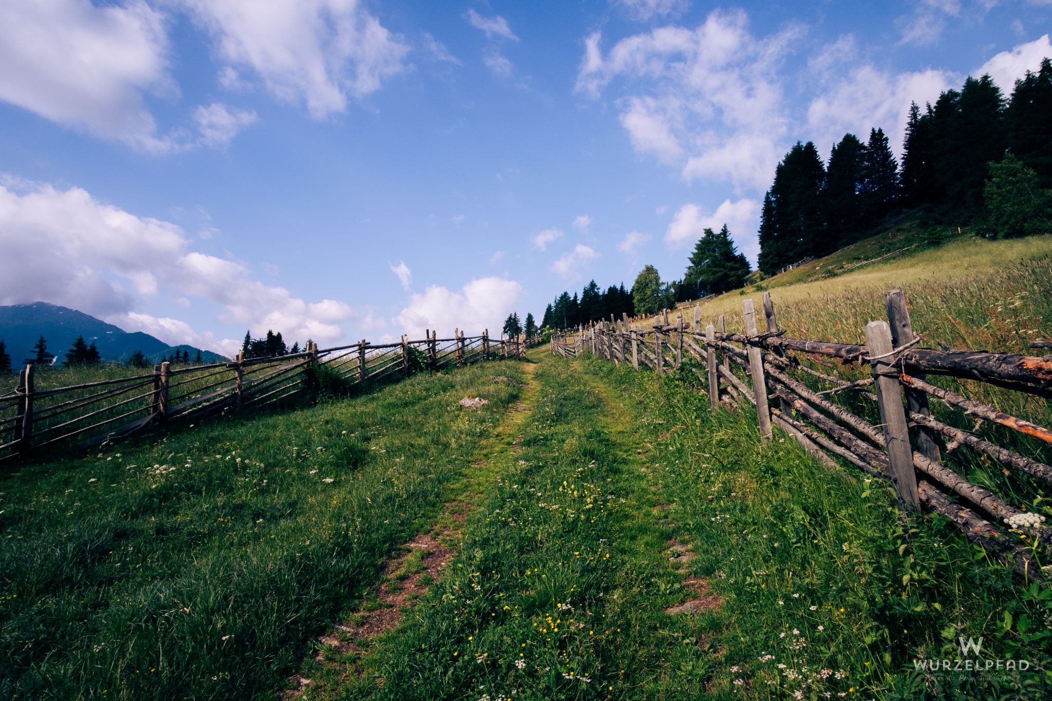Wege durch die Wiesen