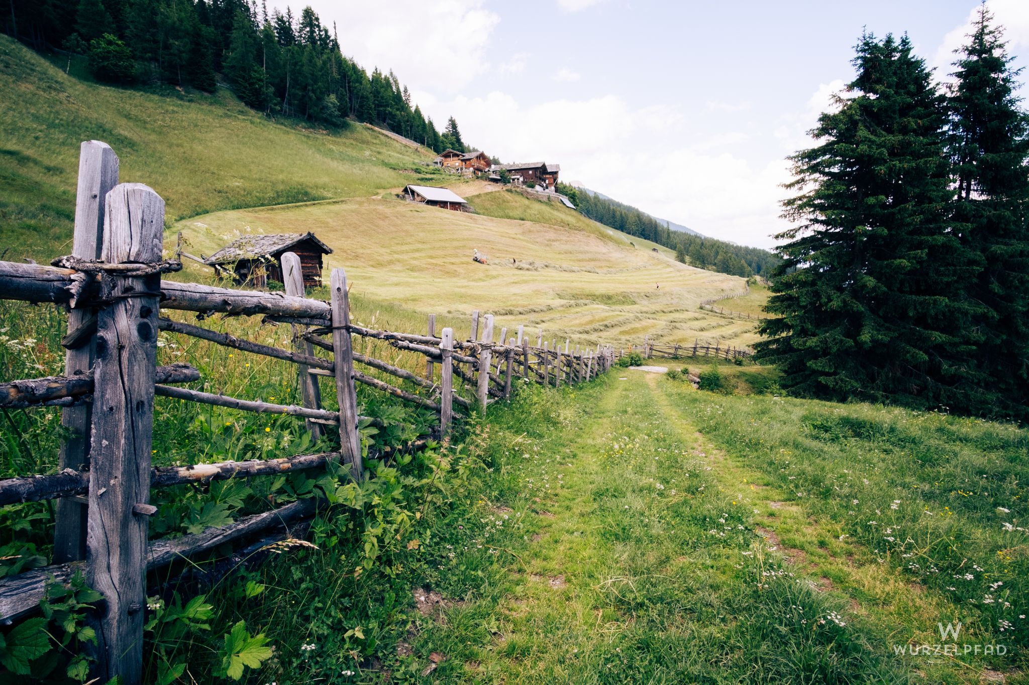 Einsamer Wiesenweg hinab