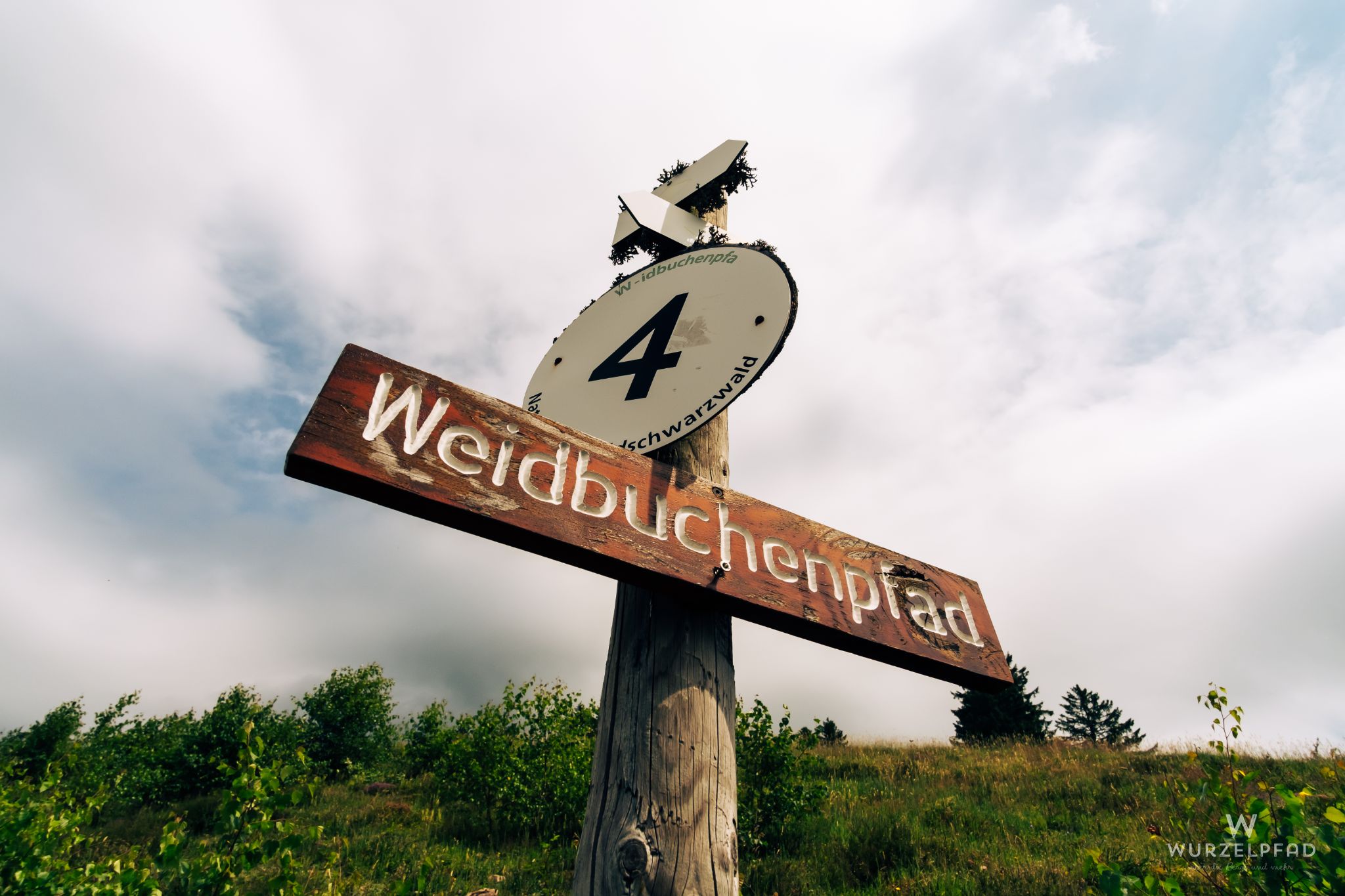 Auf dem richtigen Weg