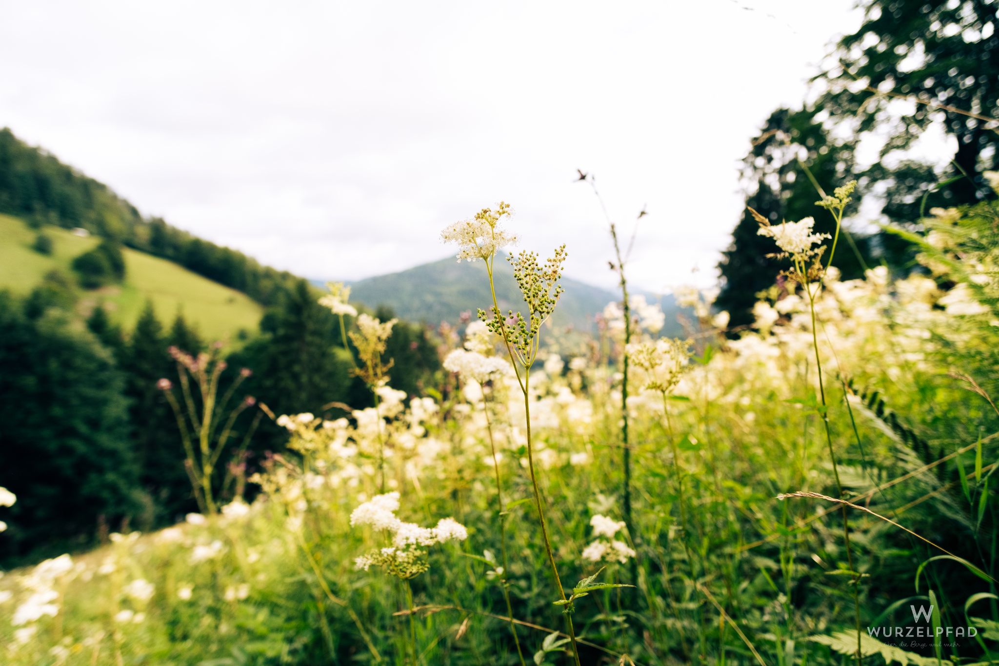 Am Weidelehrpfad in Präg