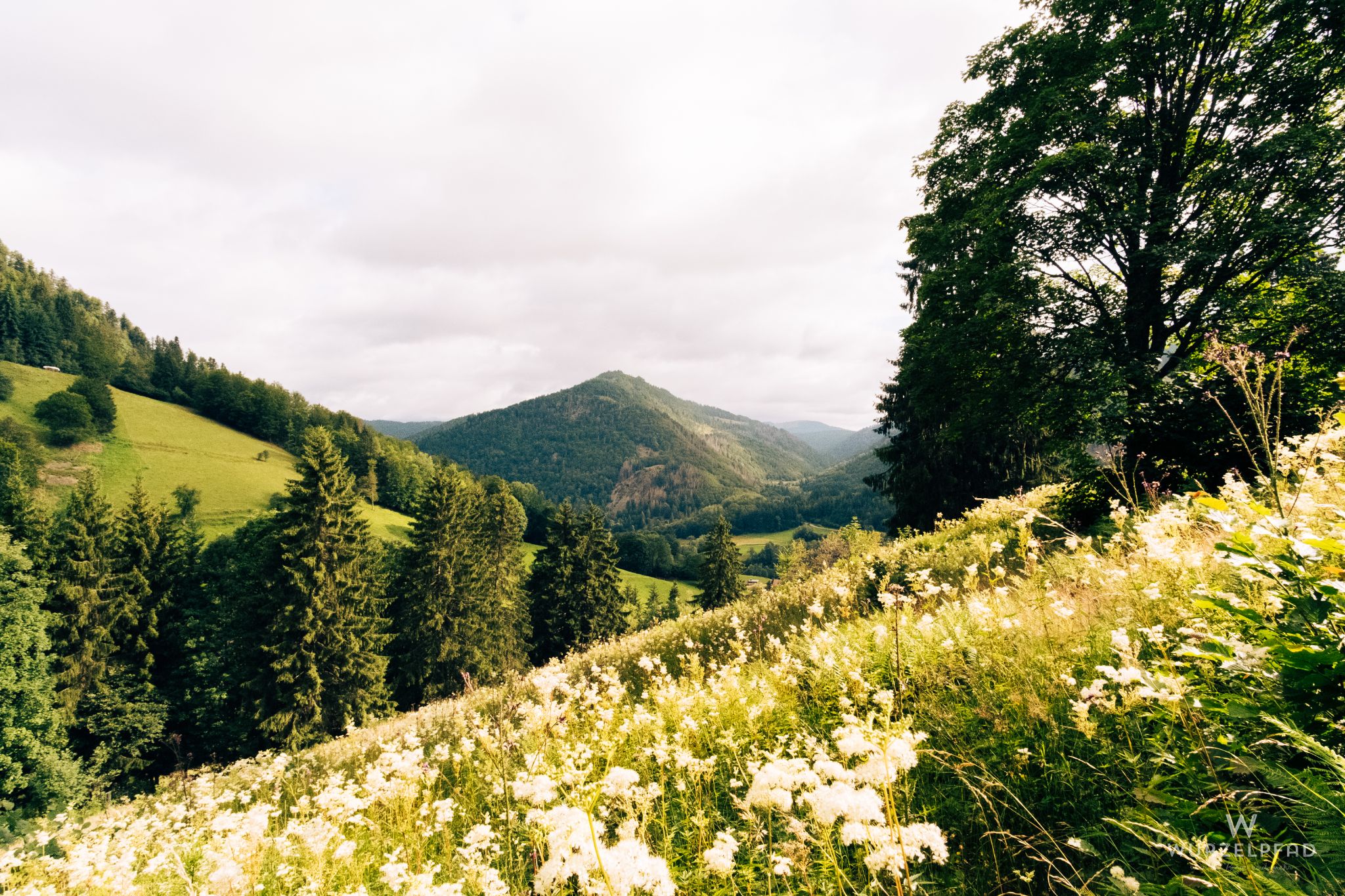 Blick über den Präger Gletscherkessel