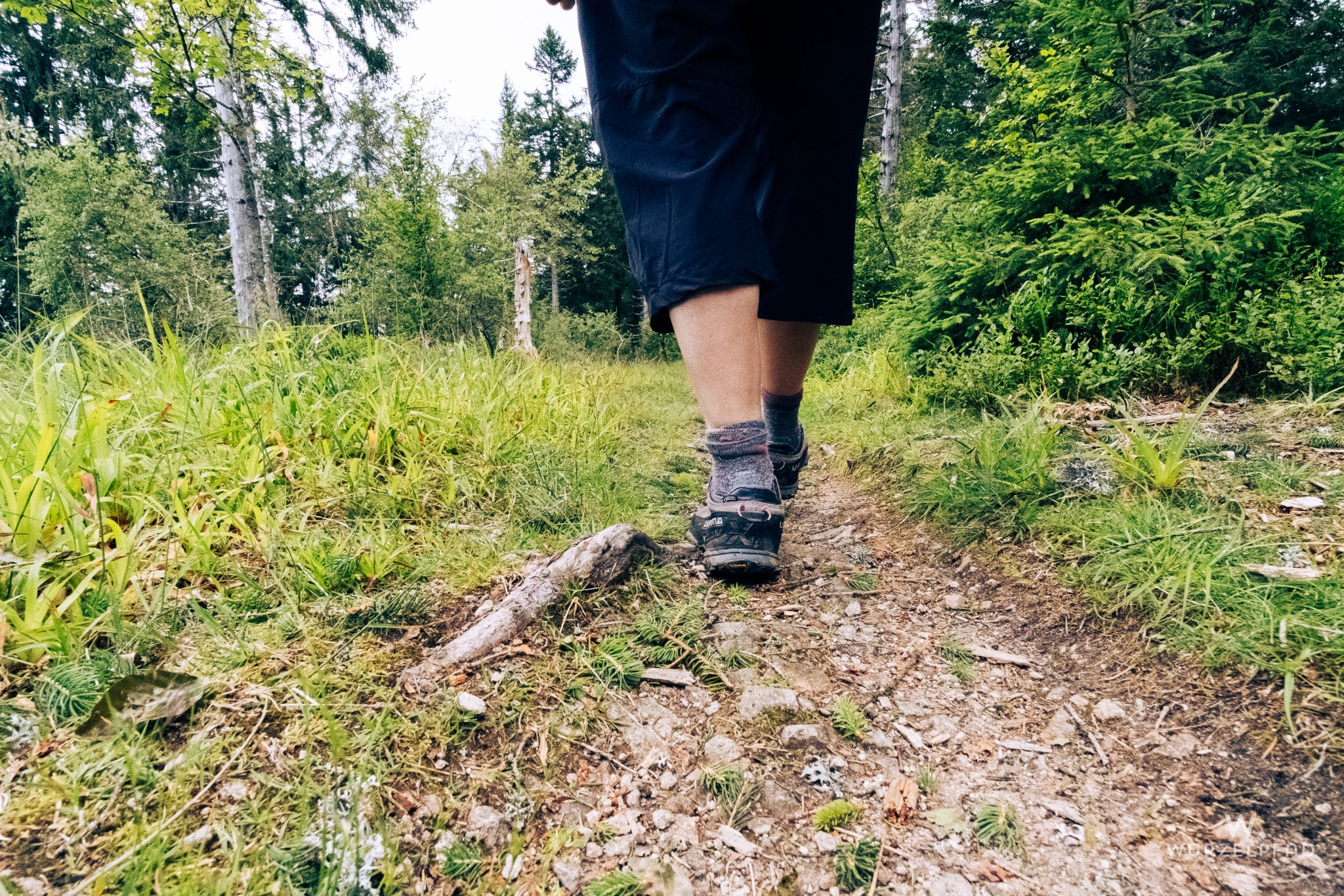 Unterwegs auf schmalen Pfaden