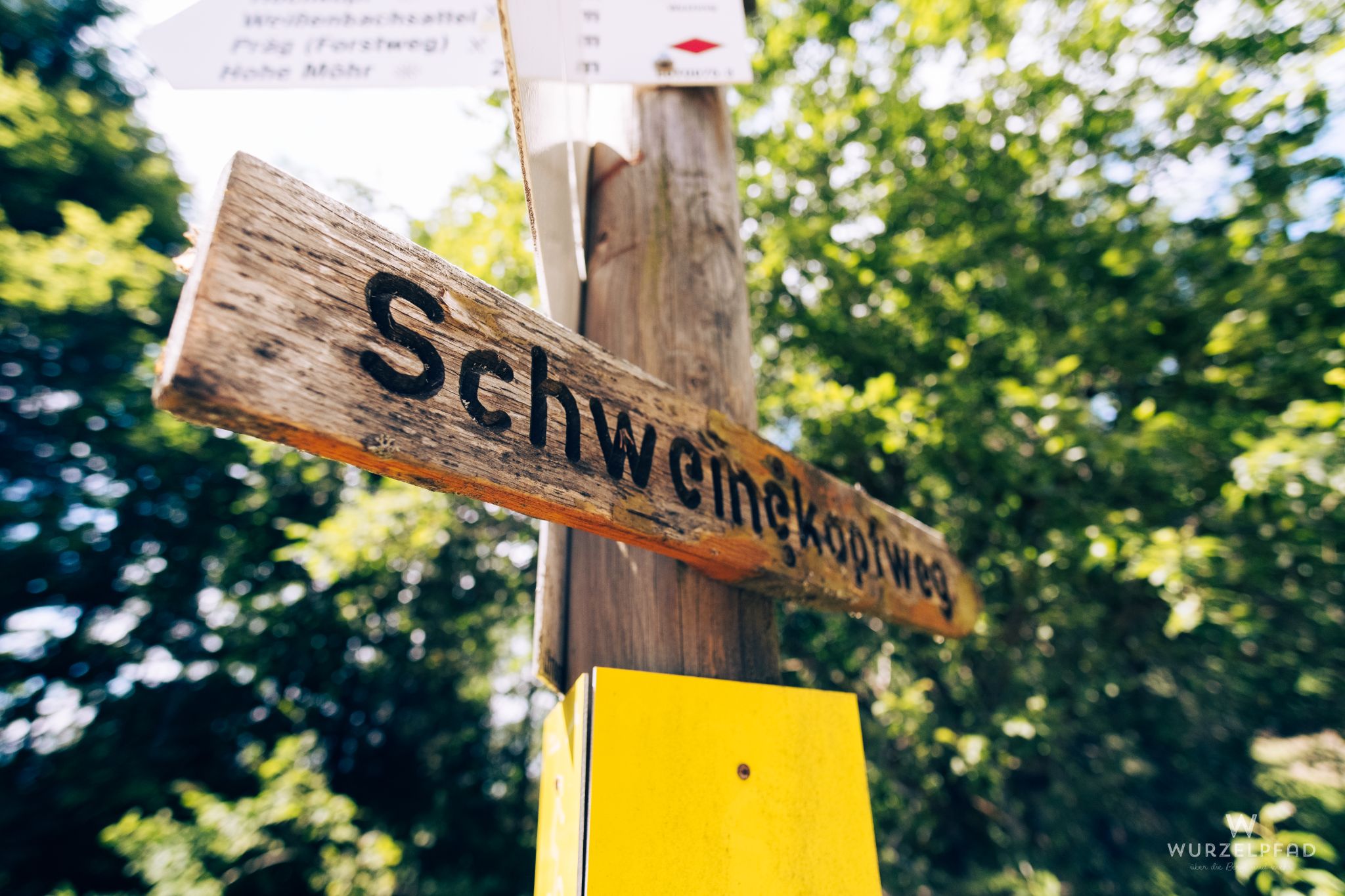 Auf weglosen Wegen über den Schweinekopf