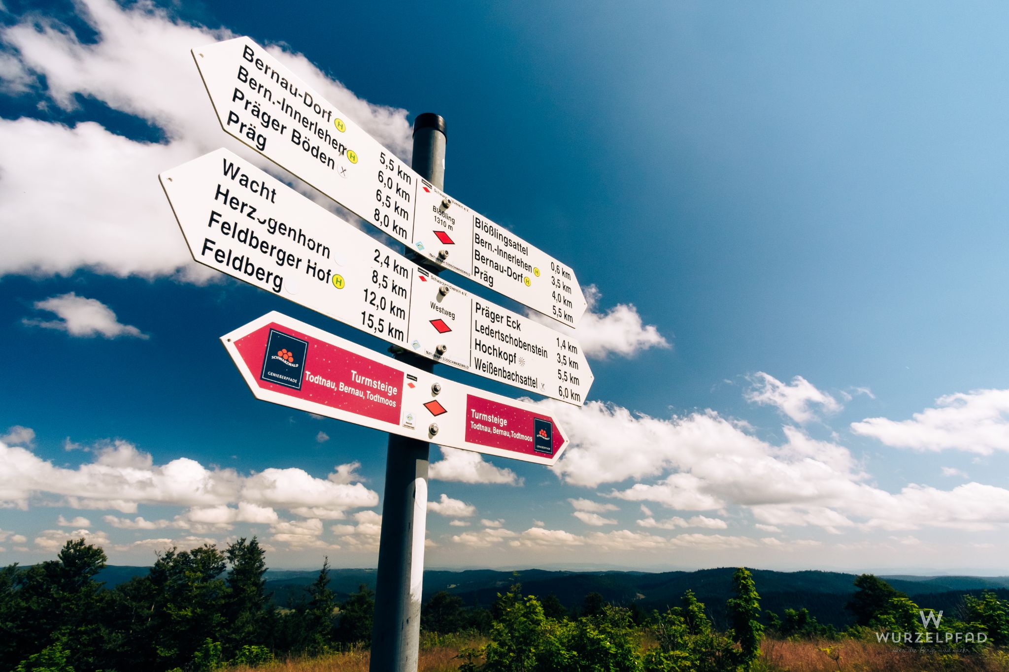 Viele Wege führen auf den Blößling