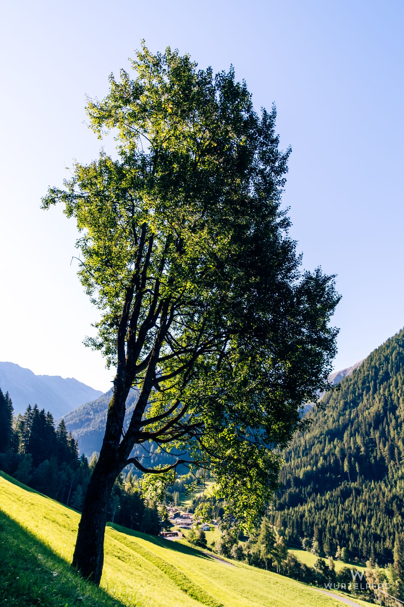Am Waltener Dorfrundweg