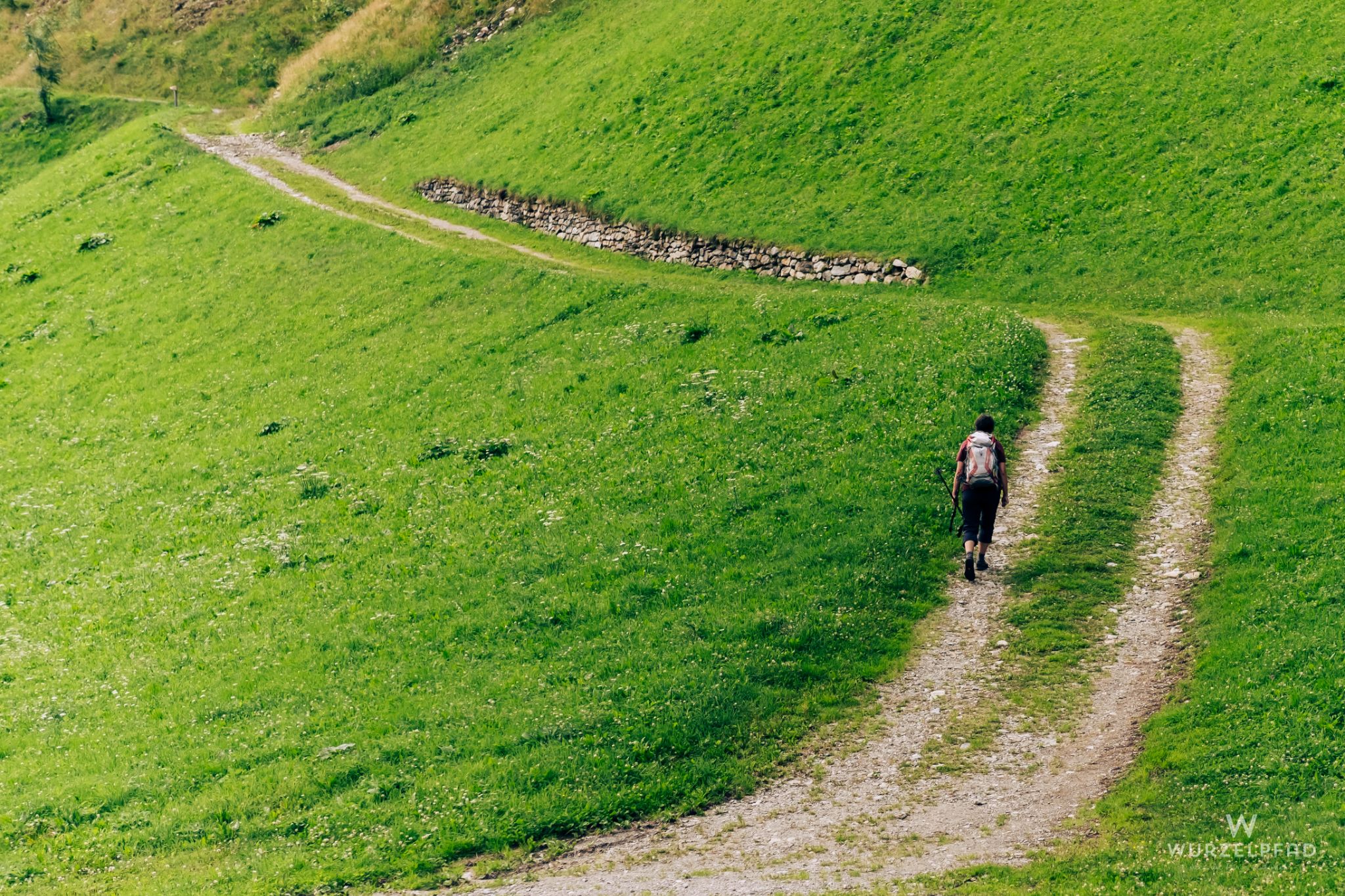 Durch saftige Wiesen auf dem Waltener Dorfrundweg