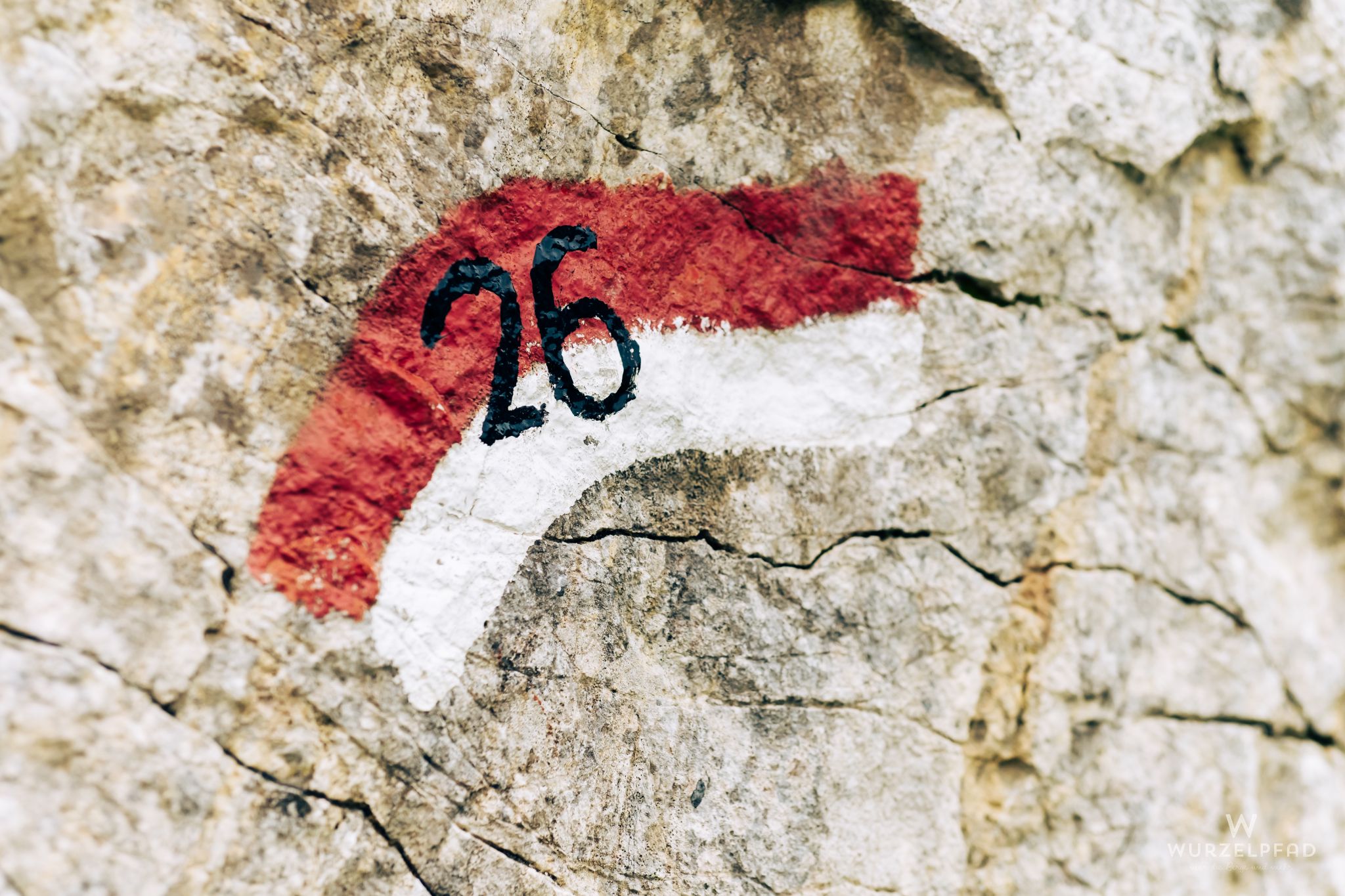 Hier sind wir richtig