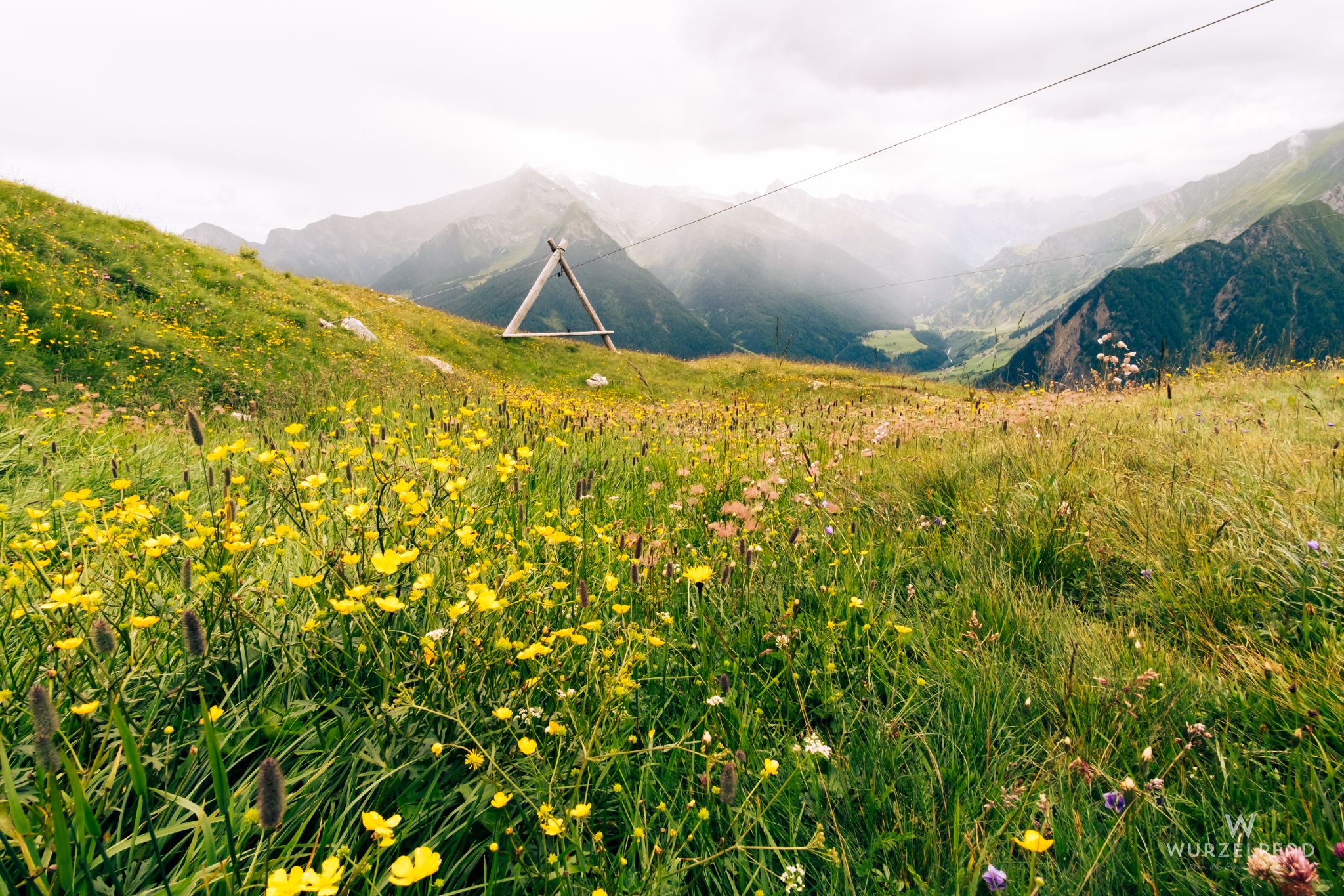 Bei der Hochalm - Blick ins Pfelderer Tal