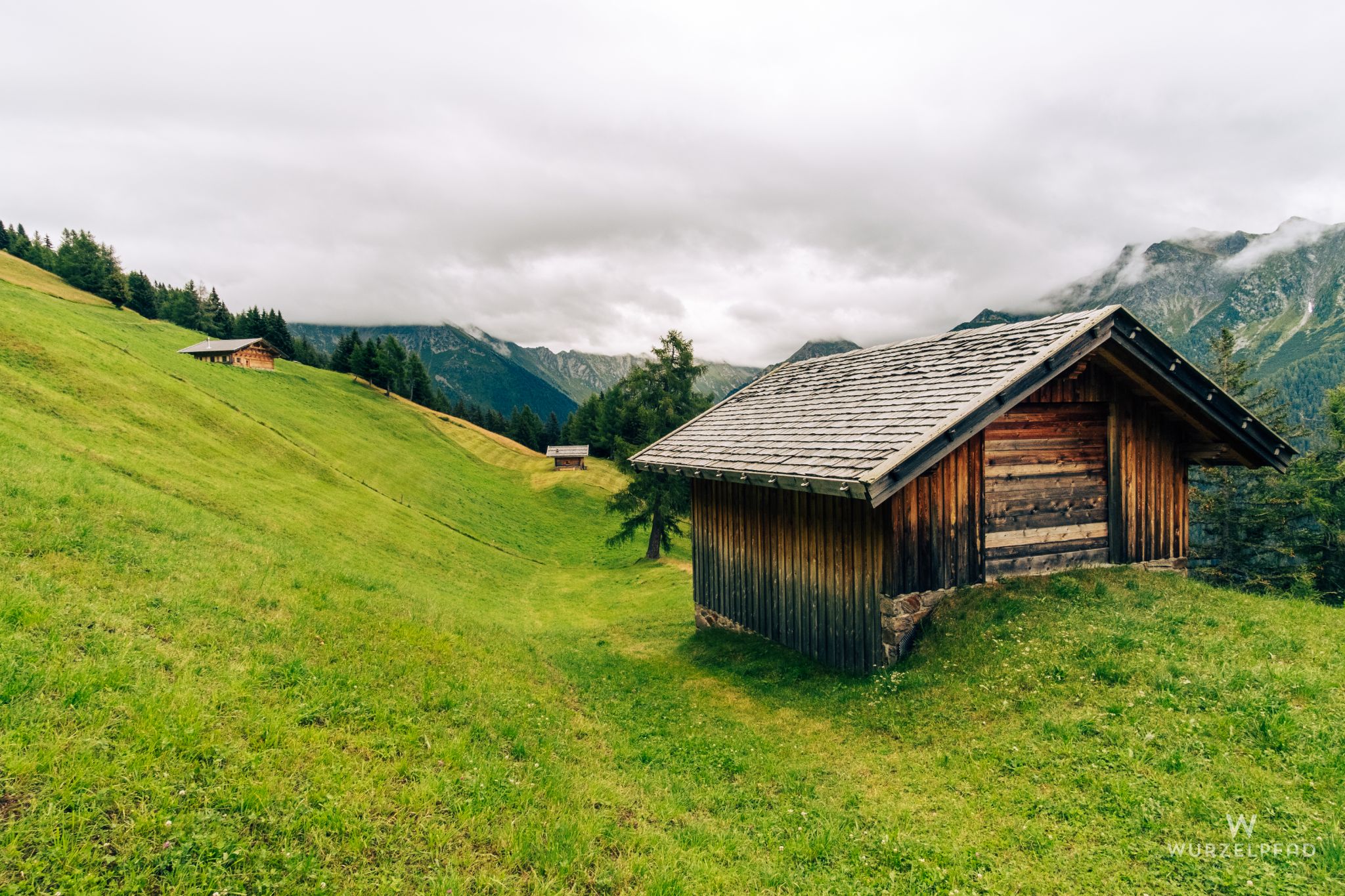 Weidegelände zwischen Walten und Jaufenpass