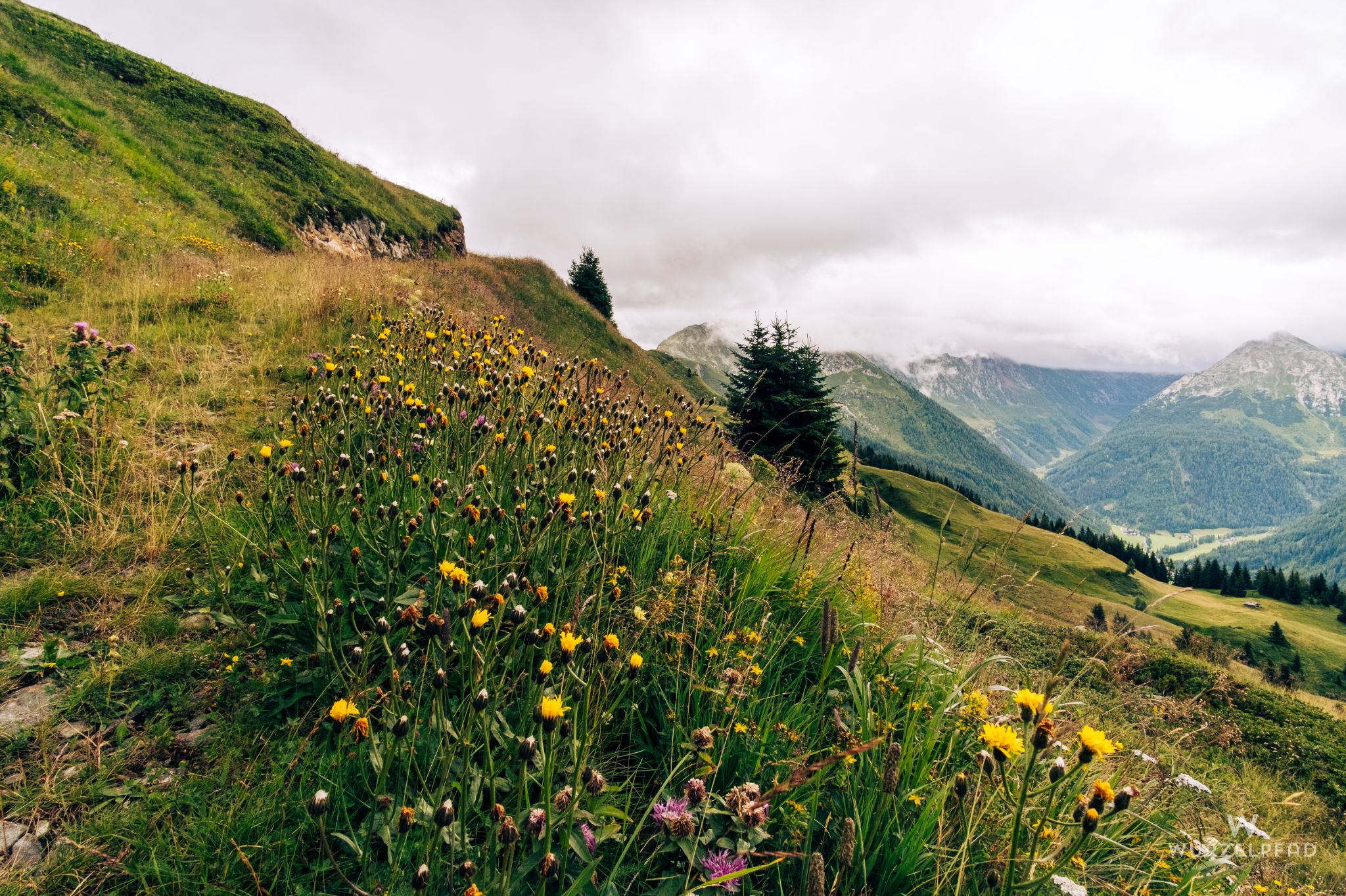 Blick hinab nach Wanns