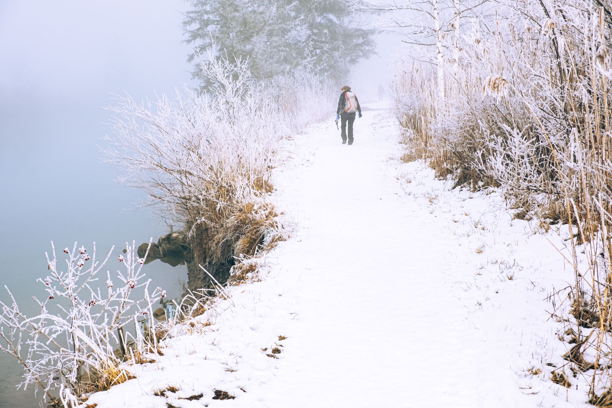 Unternehmungen in 2022