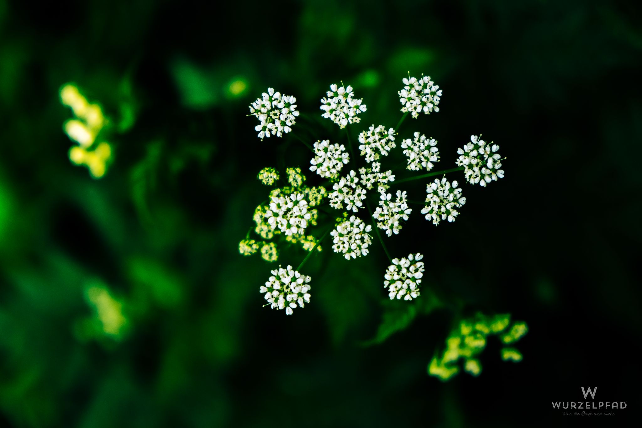 Wanderung um Thanning