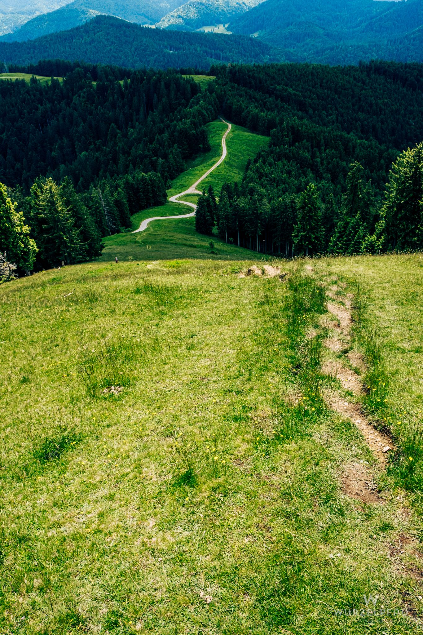 Blick vom Zwiesel nach Süden