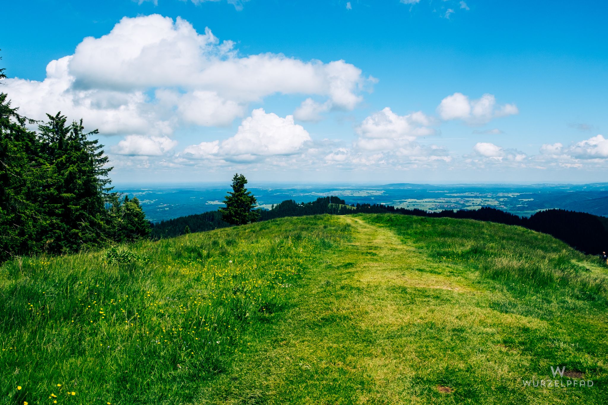 Blick vom Zwiesel auf's Oberland